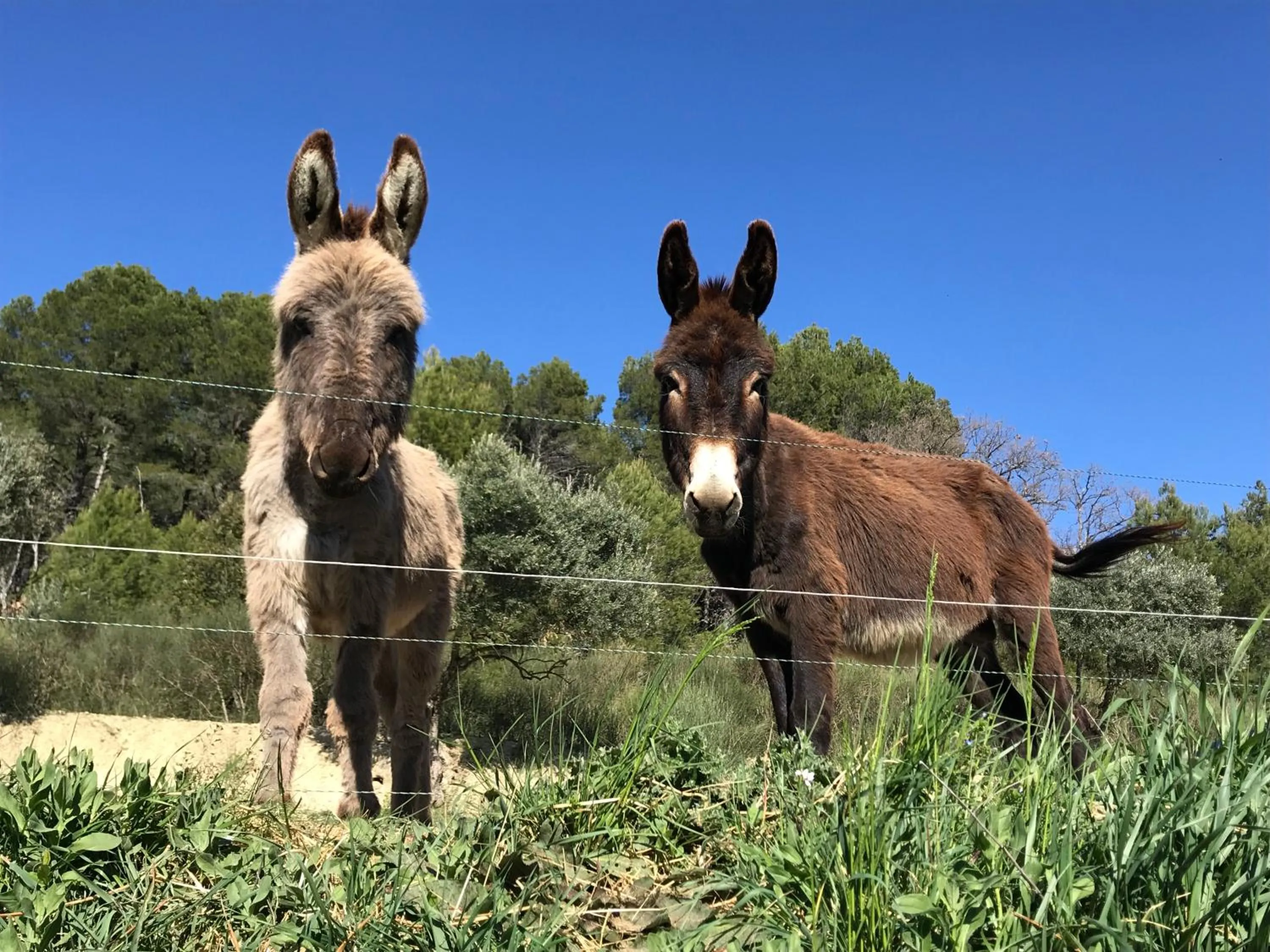 Bathroom in Locations insolites "vie en plein air" cabane et tipi Bastide Bellugue maison d'hôtes reseau Bienvenue à la ferme à 3 mn de lourmarin