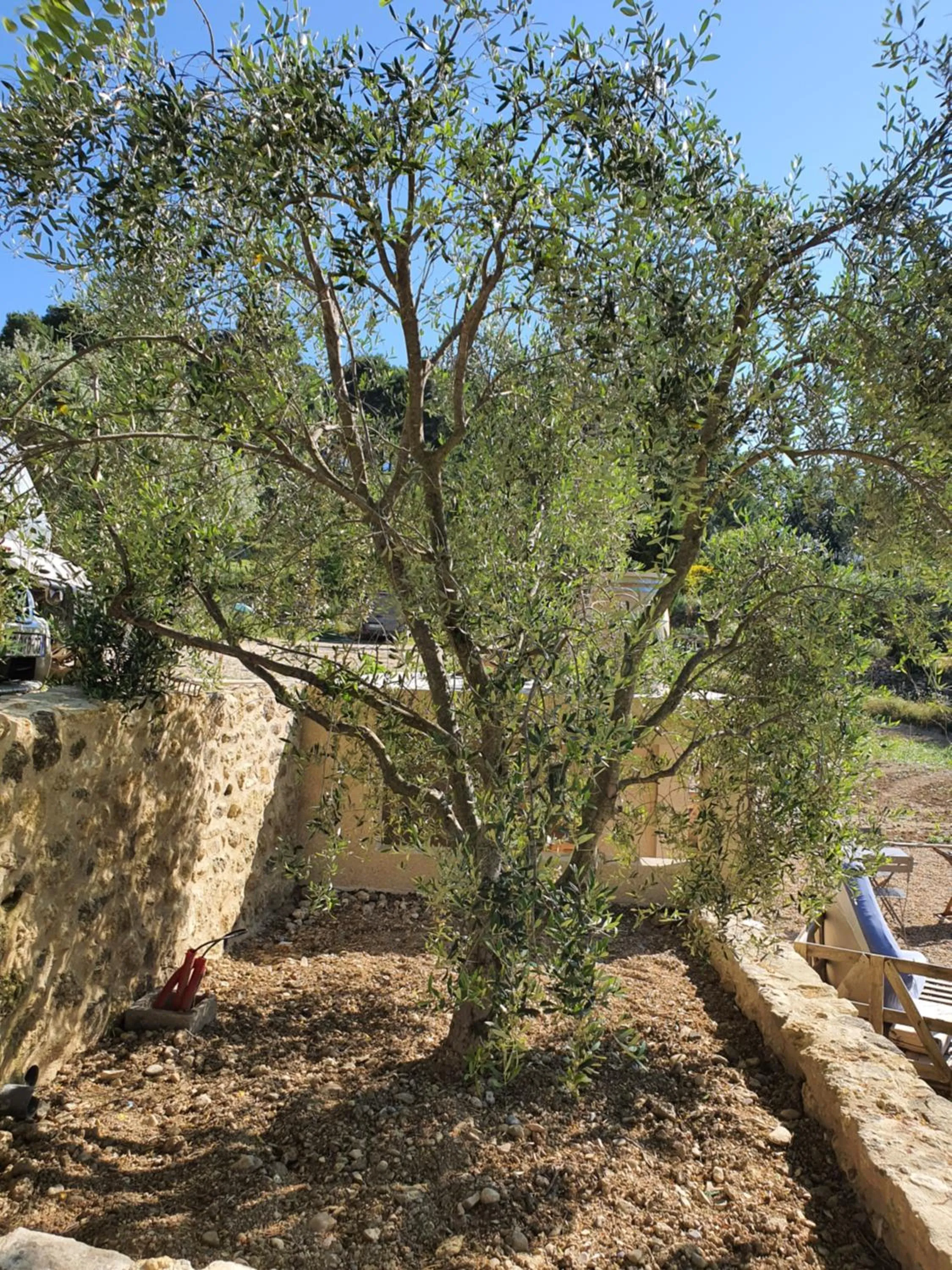 Locations insolites "vie en plein air" cabane et tipi Bastide Bellugue maison d'hôtes reseau Bienvenue à la ferme à 3 mn de lourmarin
