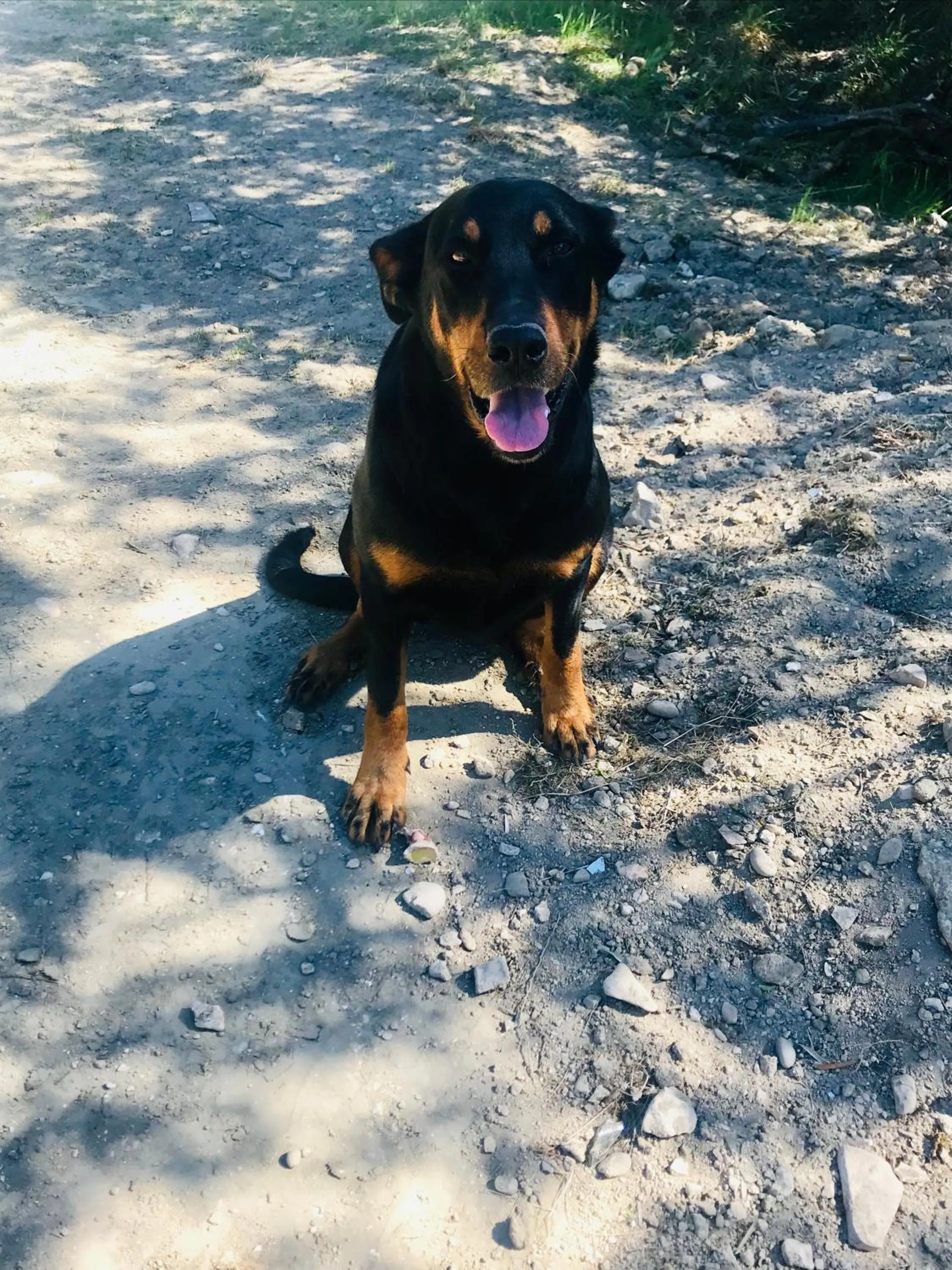 Locations insolites "vie en plein air" cabane et tipi Bastide Bellugue maison d'hôtes reseau Bienvenue à la ferme à 3 mn de lourmarin