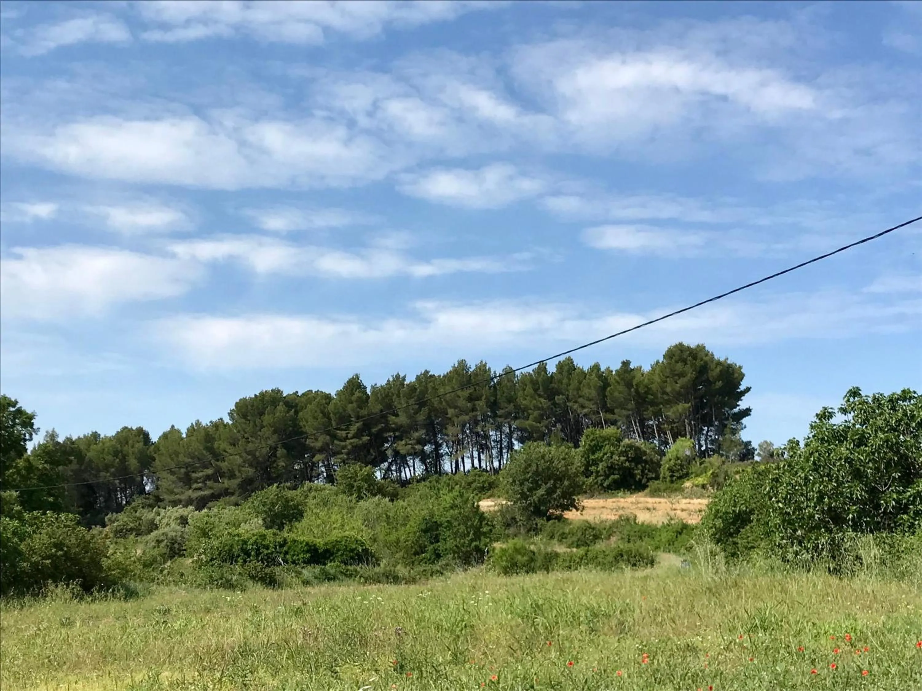 Natural landscape in Locations insolites "vie en plein air" cabane et tipi Bastide Bellugue maison d'hôtes reseau Bienvenue à la ferme à 3 mn de lourmarin