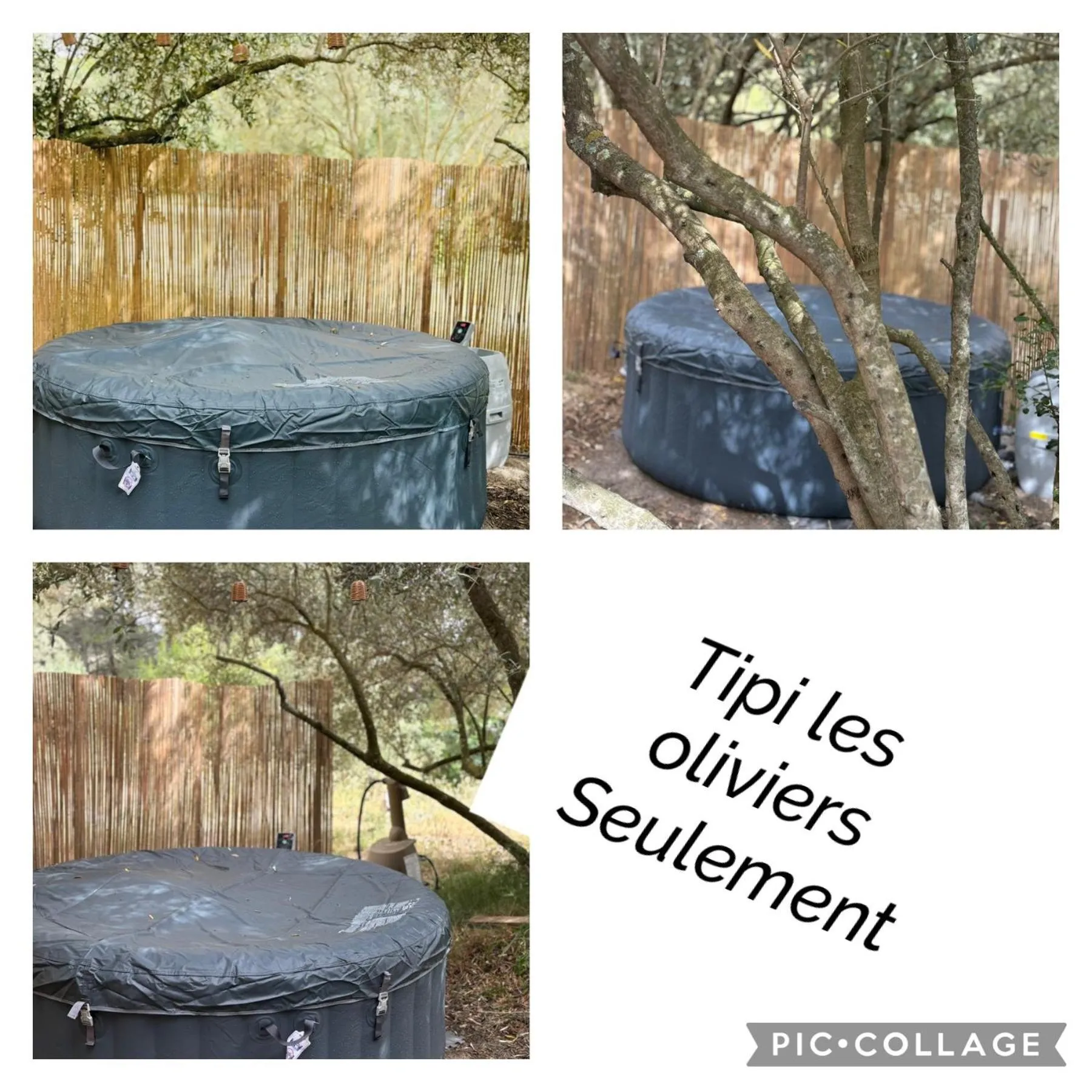 Locations insolites "vie en plein air" cabane et tipi Bastide Bellugue maison d'hôtes reseau Bienvenue à la ferme à 3 mn de lourmarin