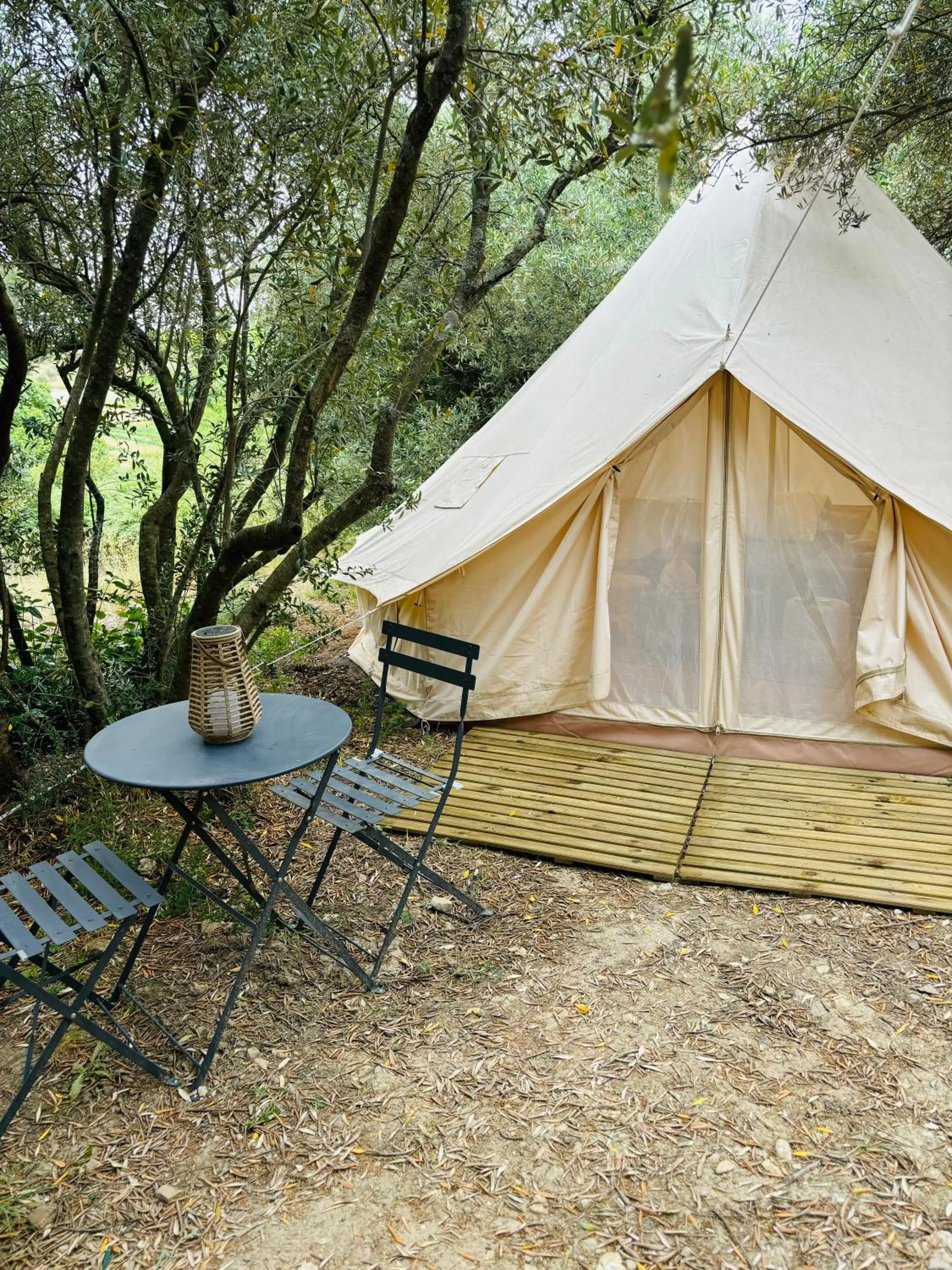 Locations insolites "vie en plein air" cabane et tipi Bastide Bellugue maison d'hôtes reseau Bienvenue à la ferme à 3 mn de lourmarin