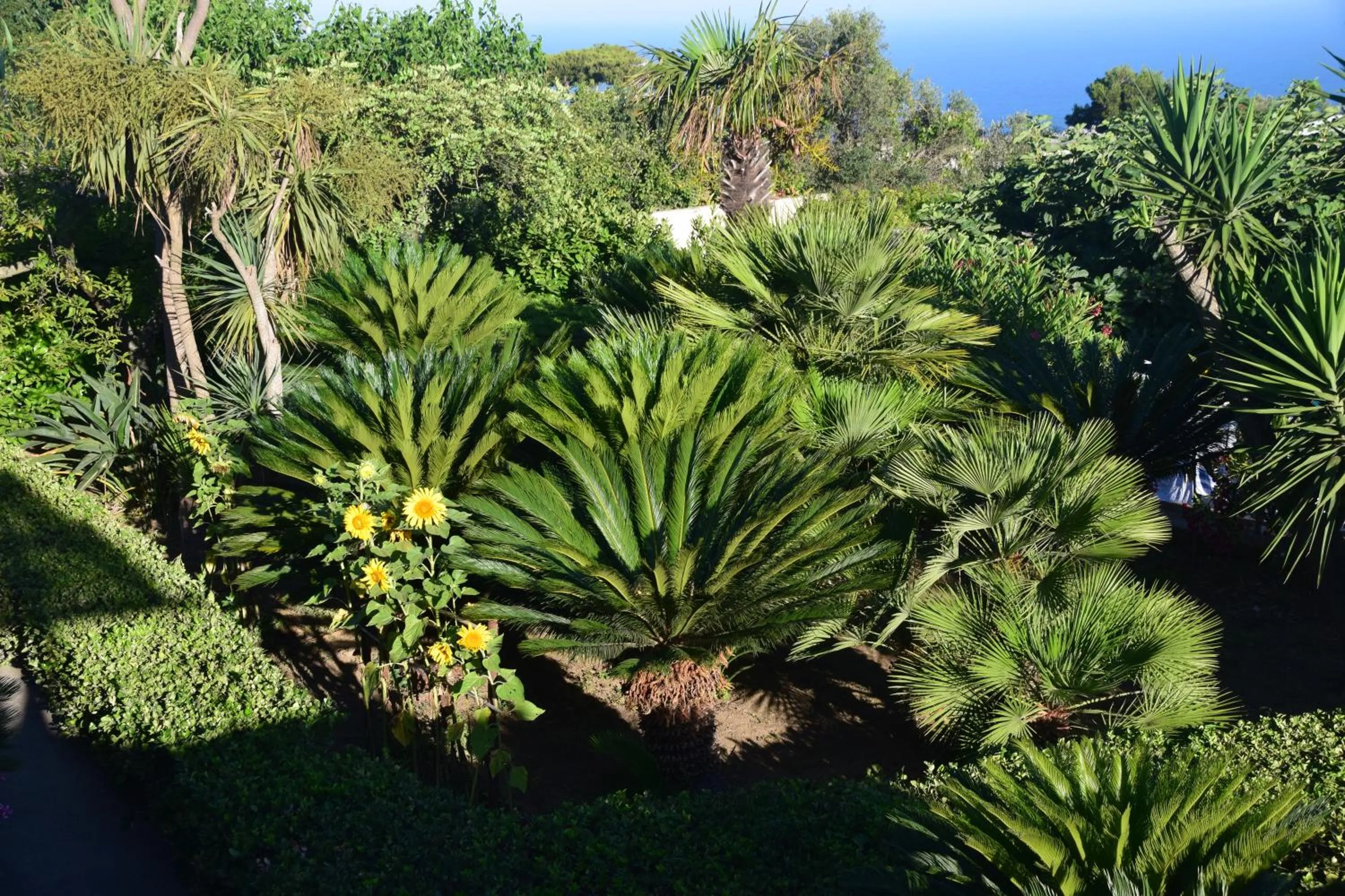 Oasi di Villa Damecuta