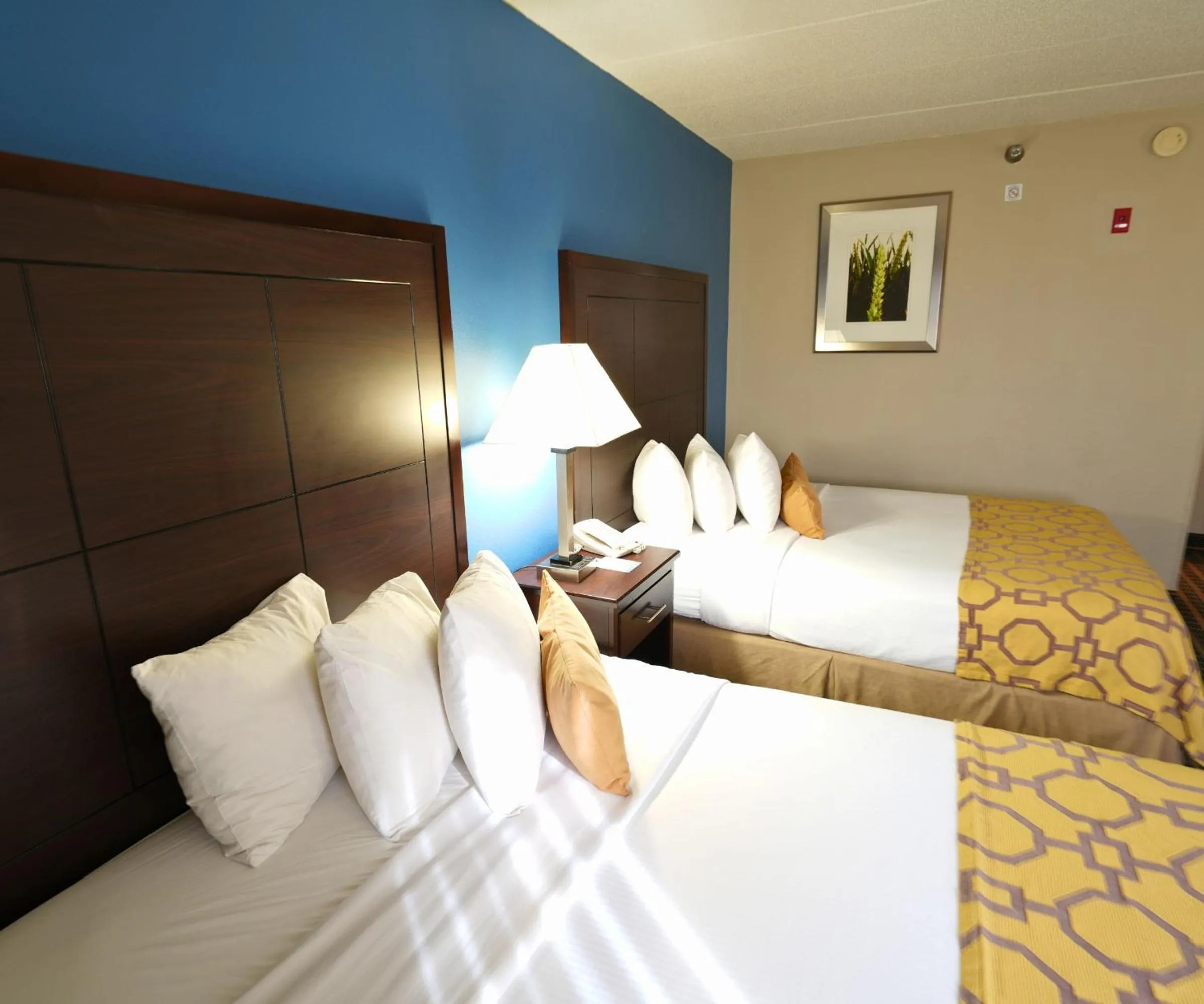 Bed in Baymont by Wyndham Marshalltown