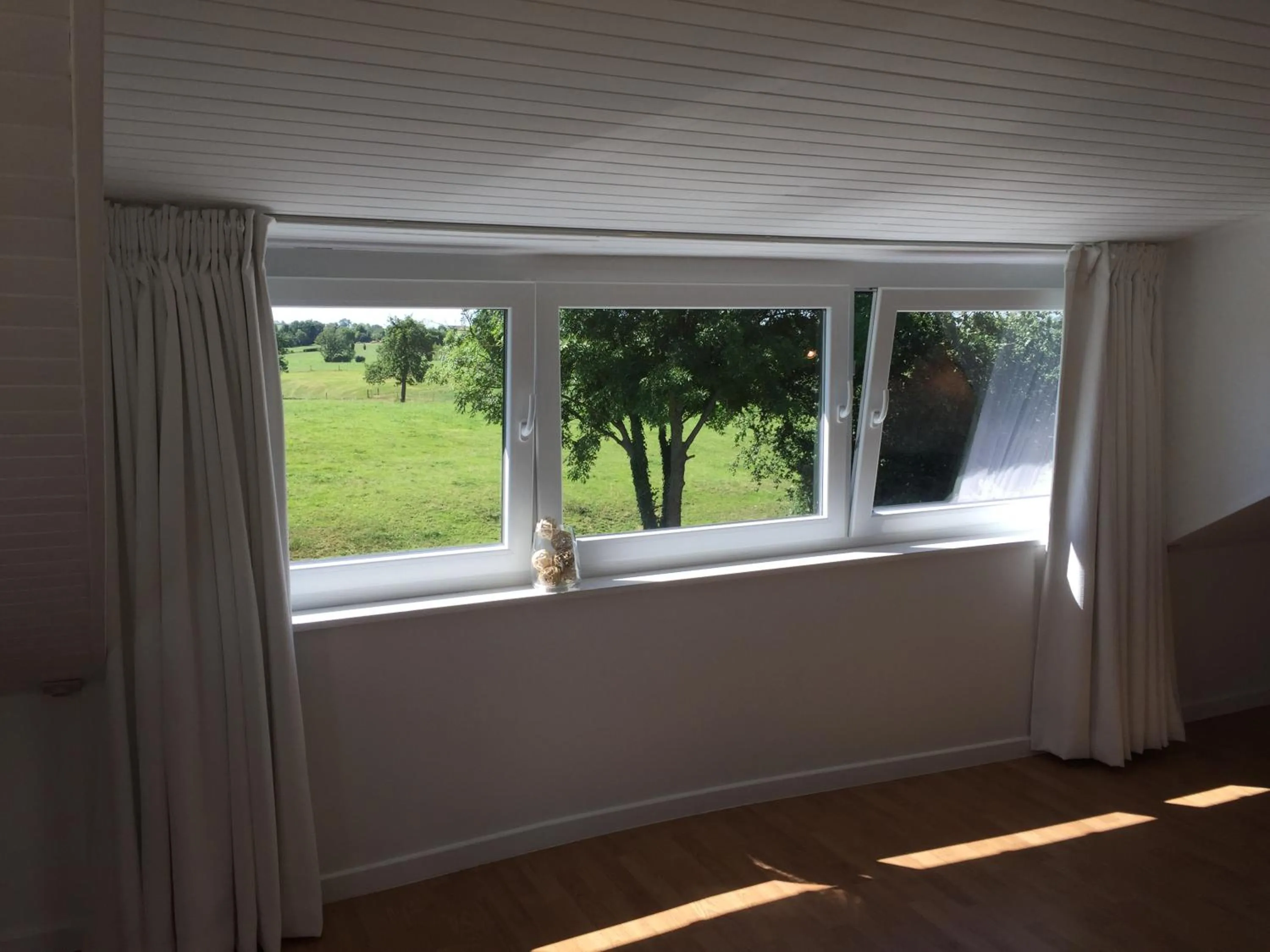 Aux pieds des vaches