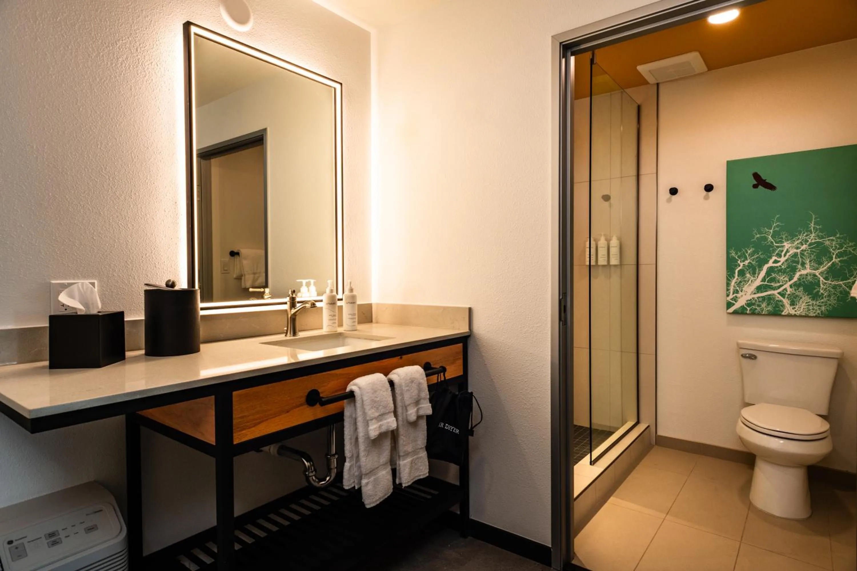 Bathroom in Boundary Hotel By Terra Vi, Durango