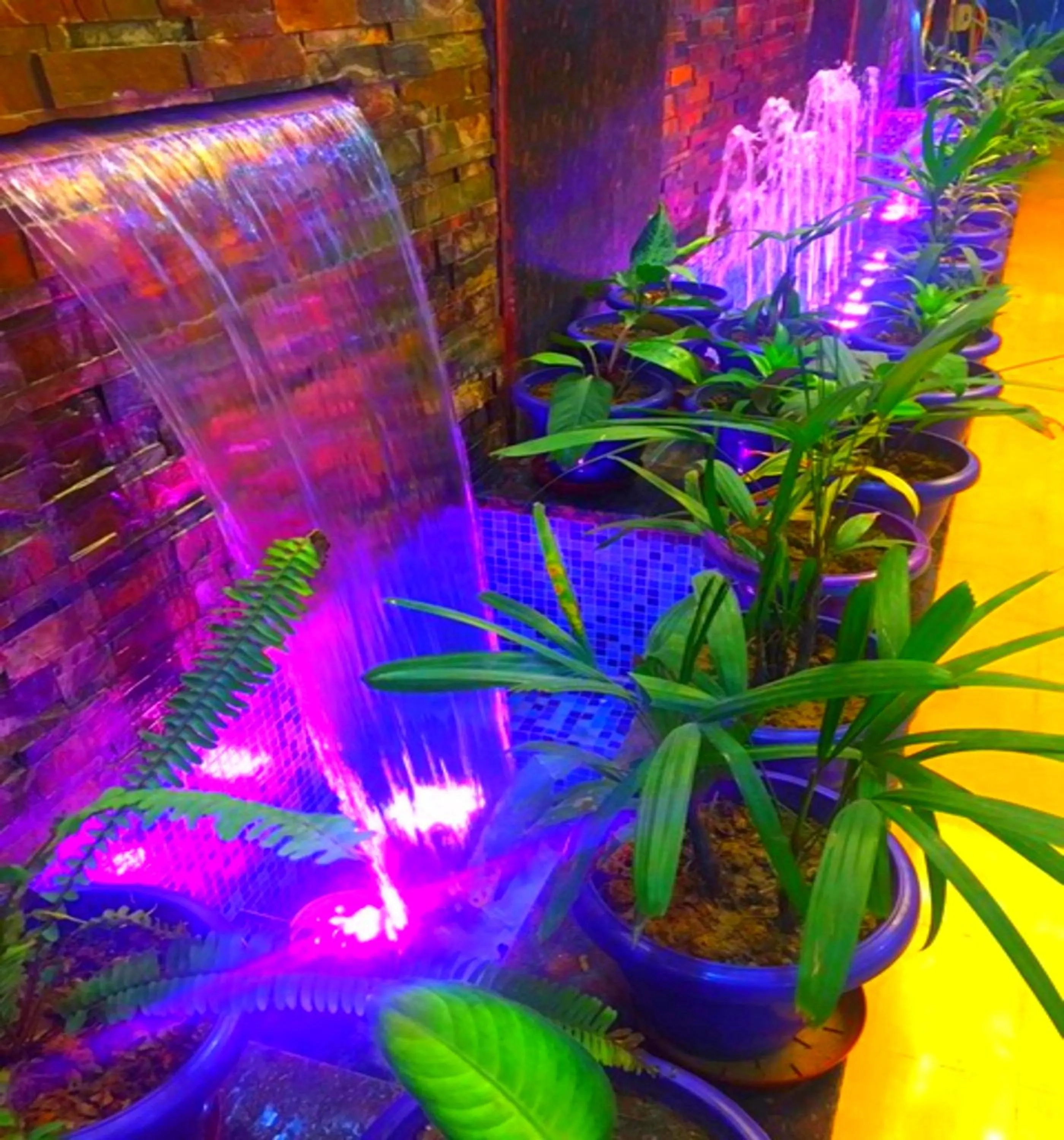 Garden in The Grand Uddhav