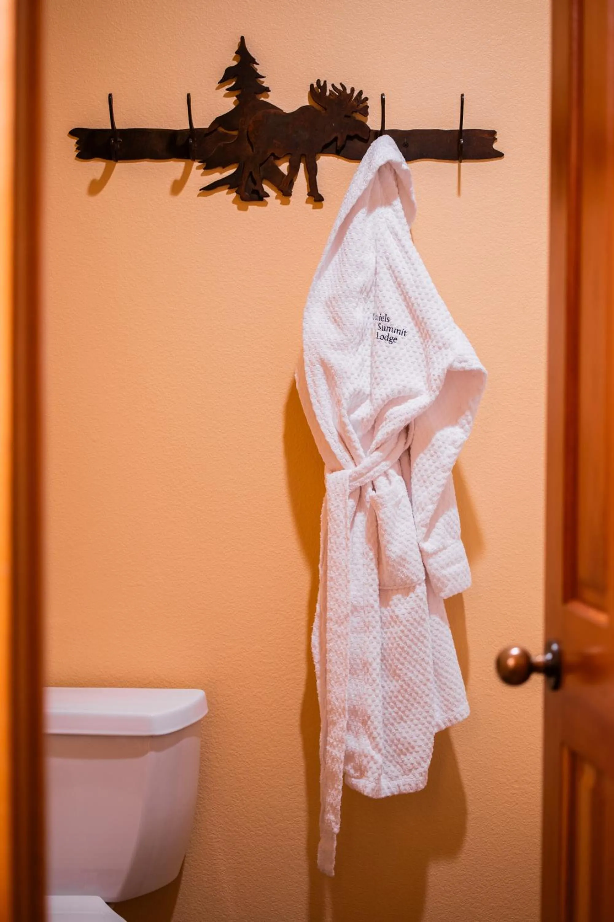 Bathroom in Daniels Summit Lodge