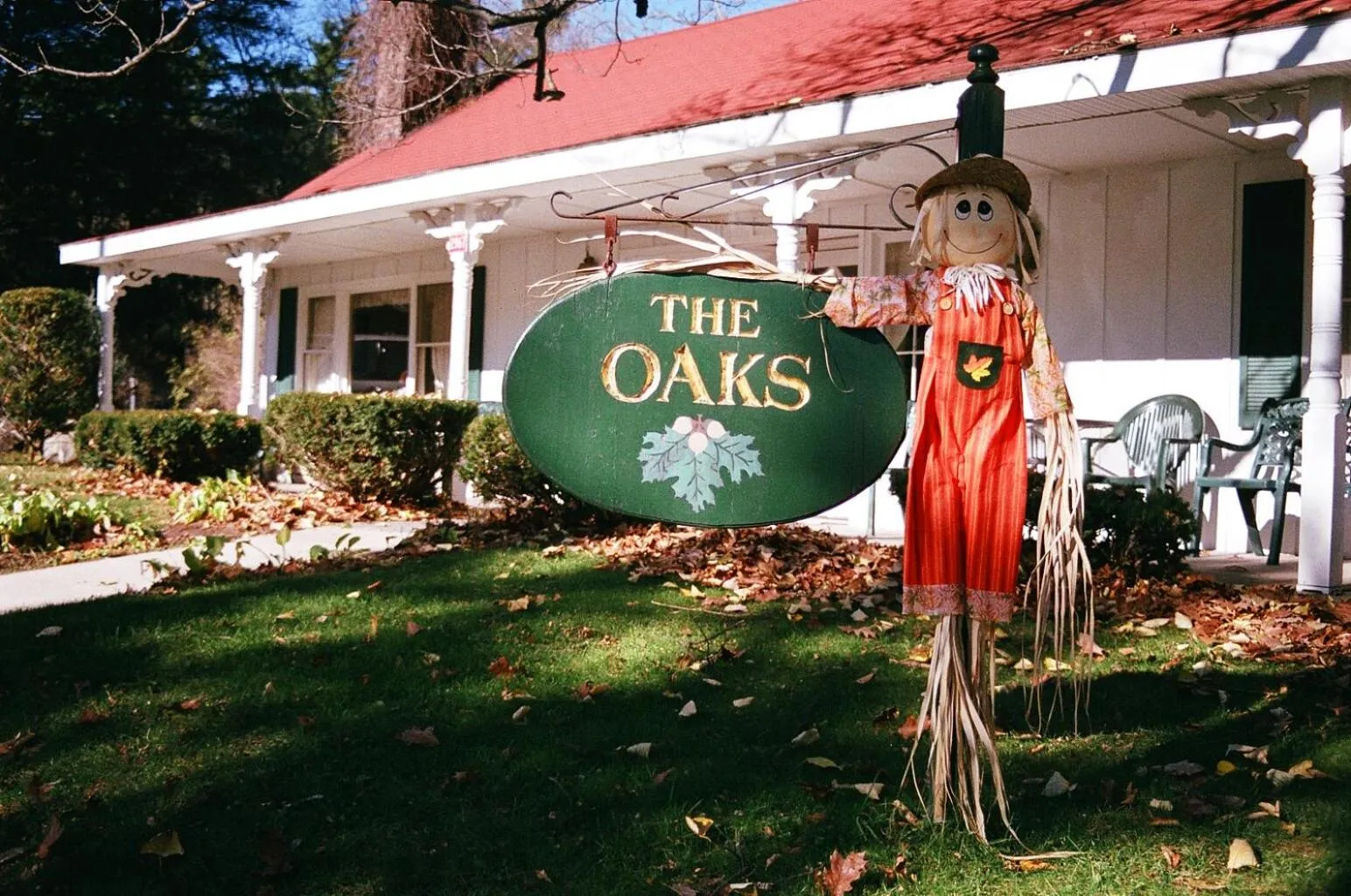 Area and facilities in Winter Clove Family Inn