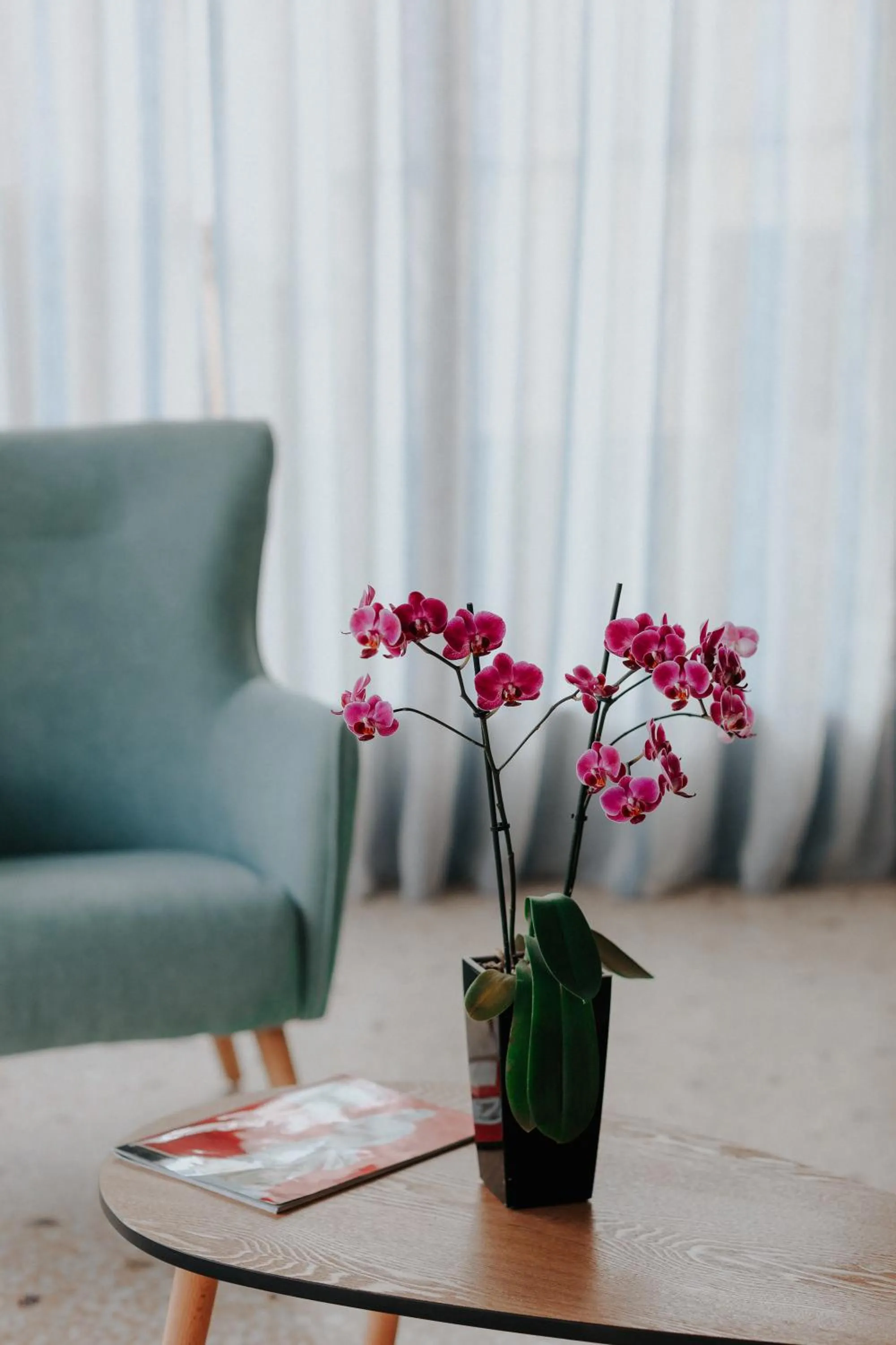 Living room in Vivari Acta