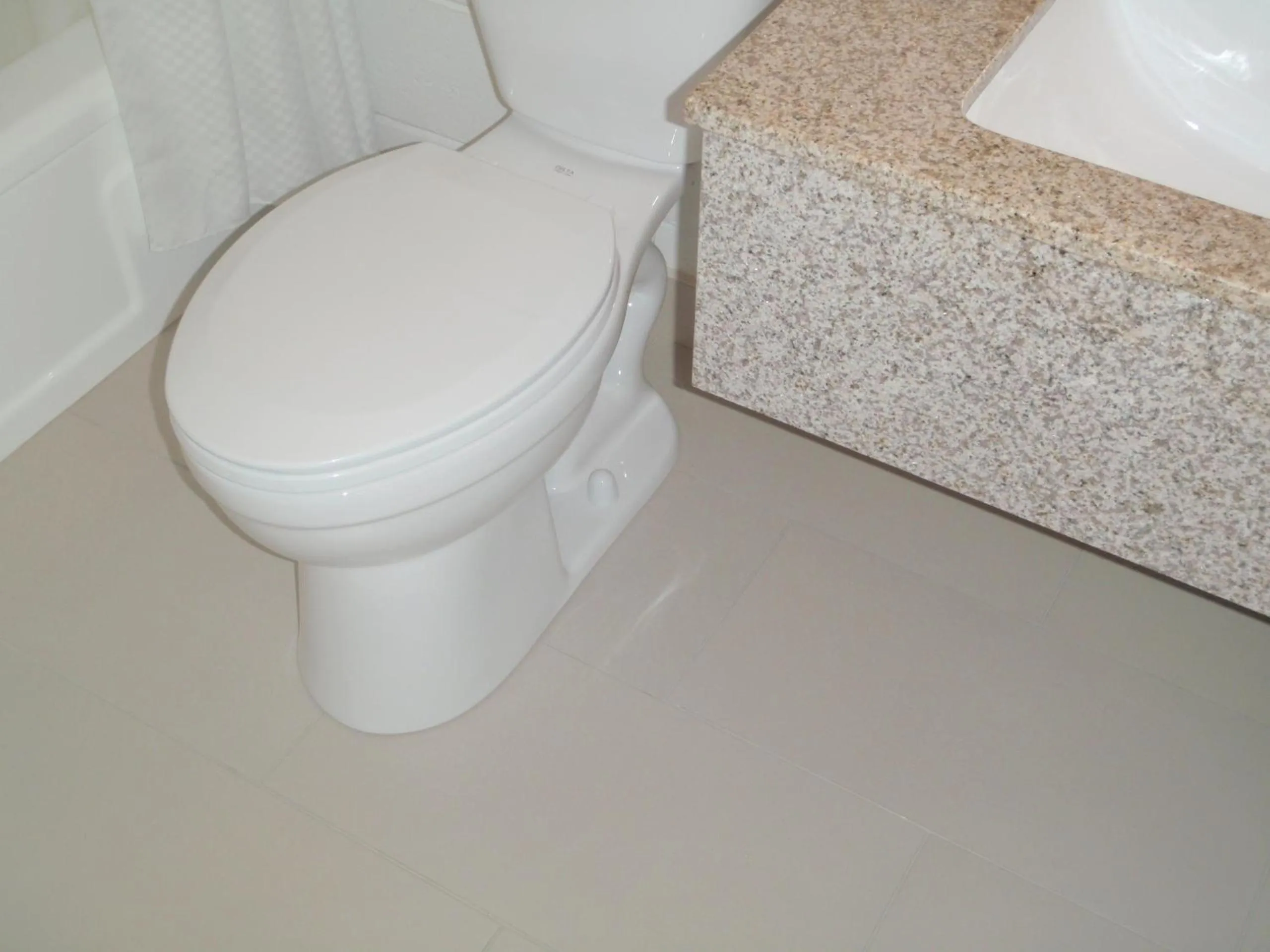 Toilet in Bozeman Inn