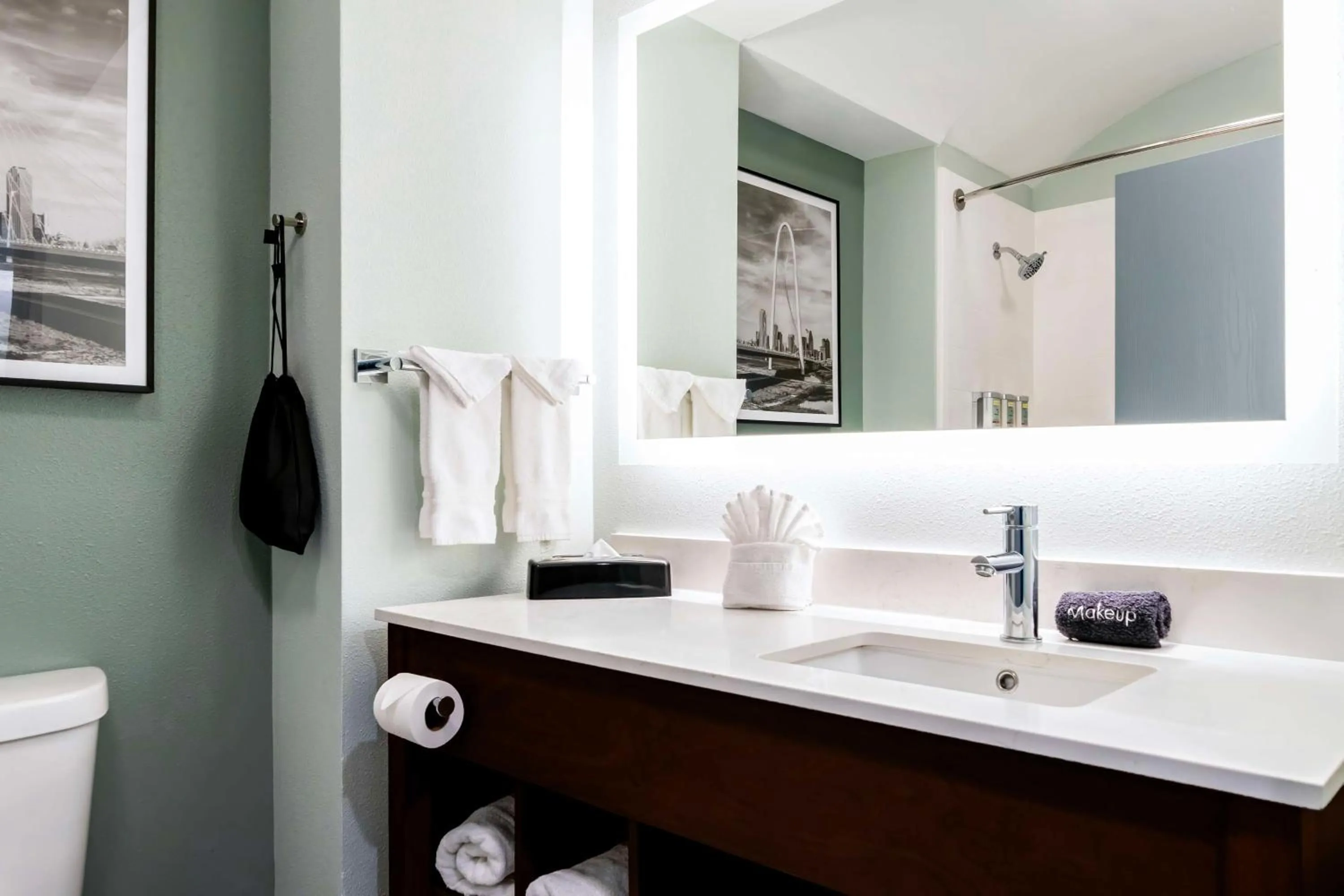 Bathroom in Best Western Executive Inn