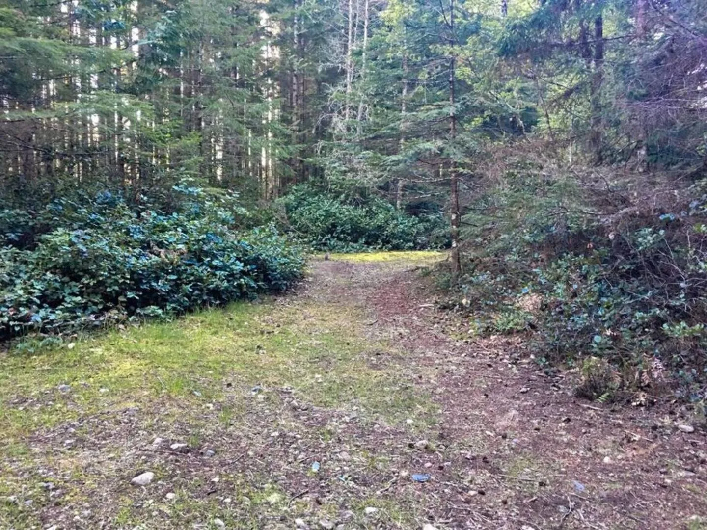 The Great Escape - Shirley