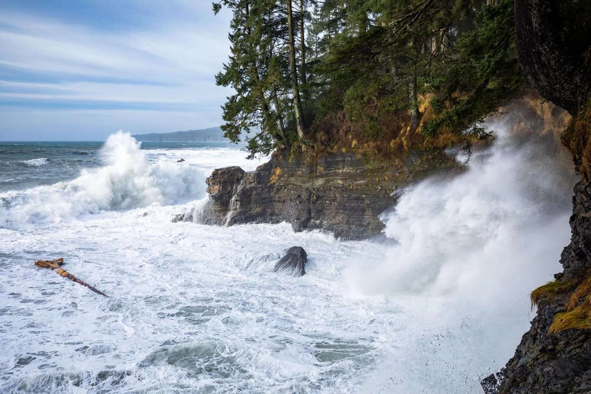 The Great Escape - Shirley