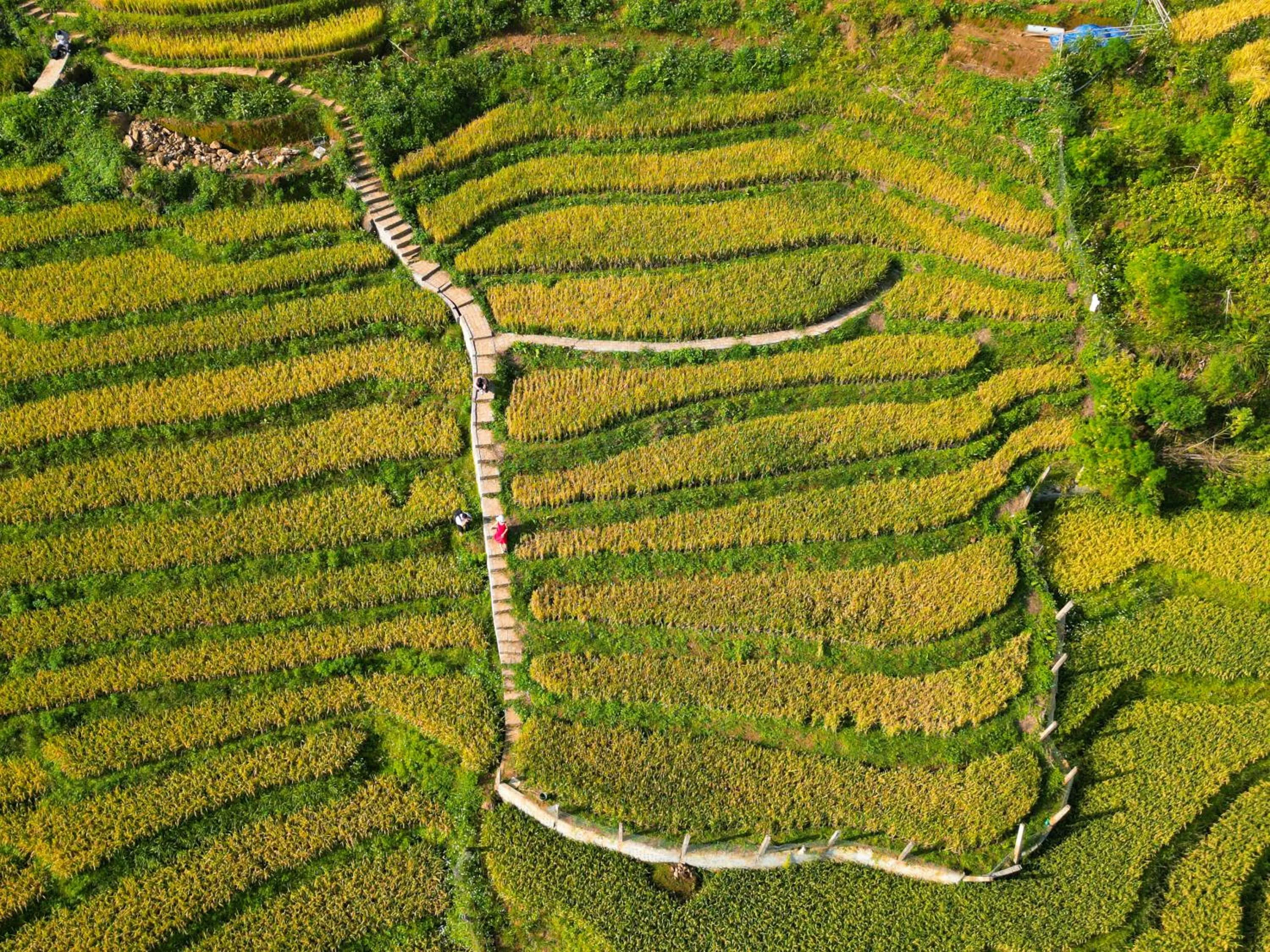 Bird's eye view in Laxsik Ecolodge