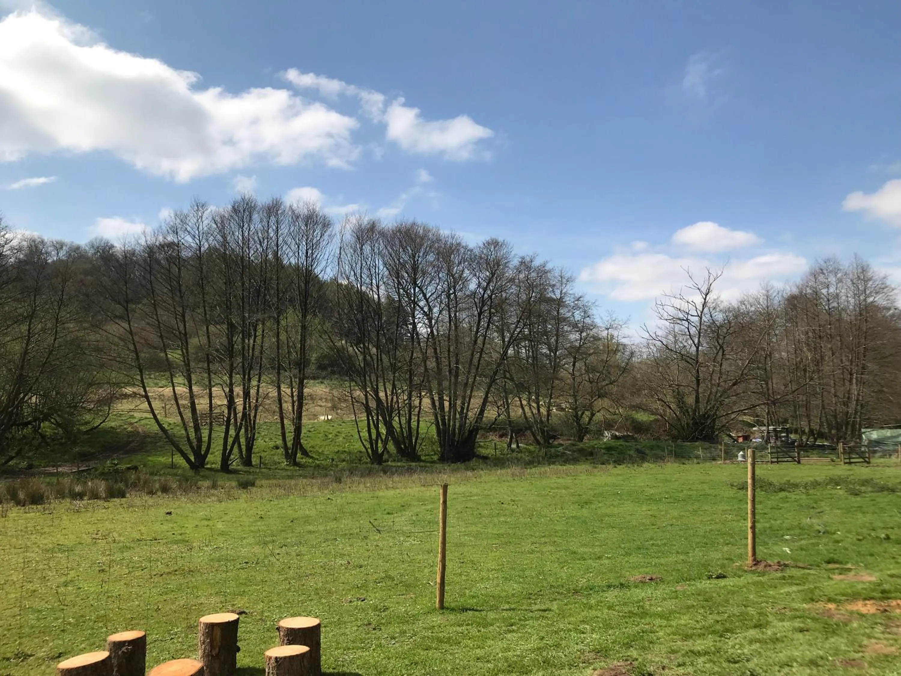 Shepherds Huts Ham Hill, 2 double beds, Bathroom, Lounge, Diner, Kitchen, LOVE dogs & Cats Looking out to lake and by Ham Hill Country Park plus parking for large vehicles available also great deals on workers long term This is the place to relax and BBQ