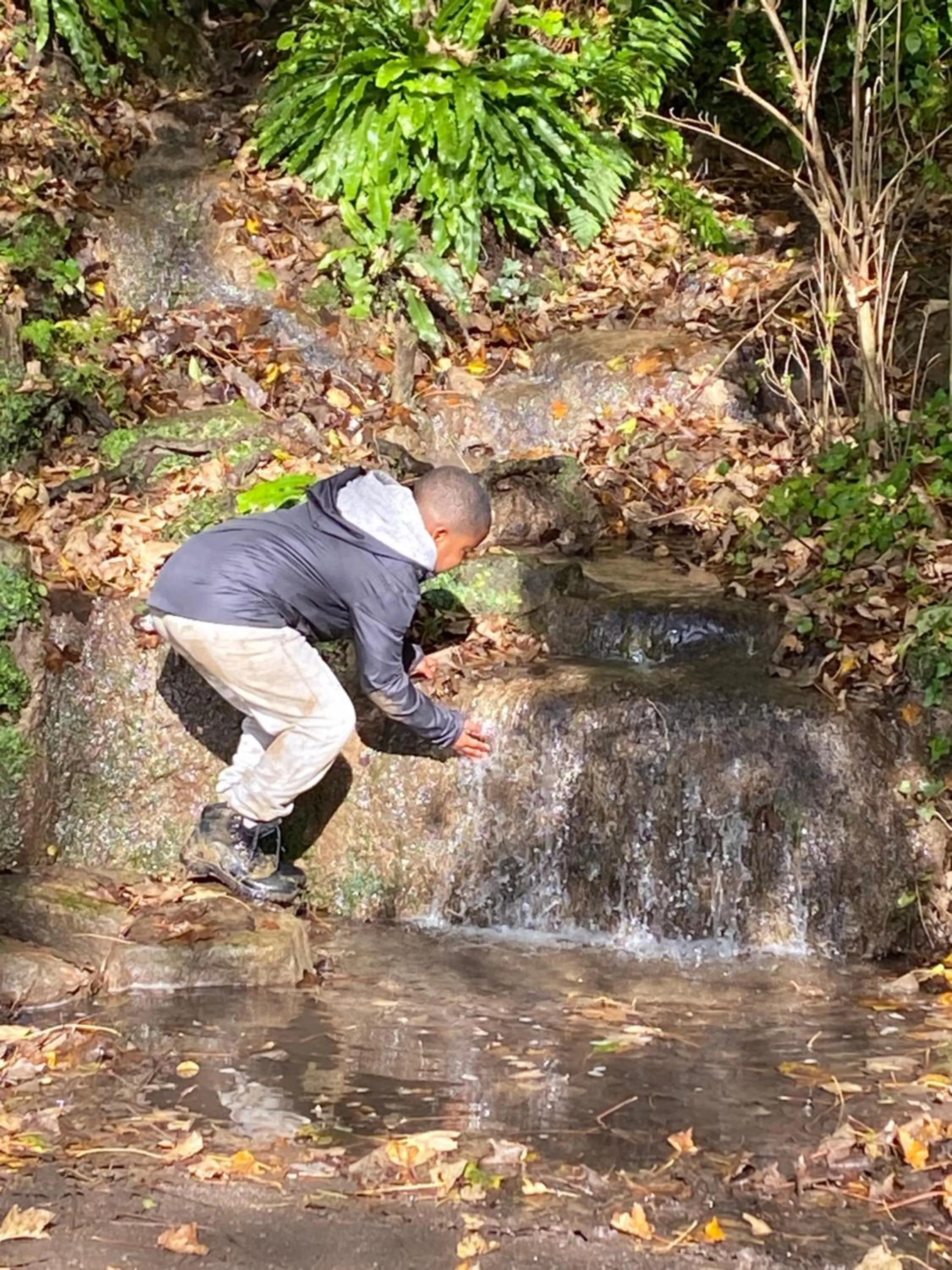 Shepherds Huts Ham Hill, 2 double beds, Bathroom, Lounge, Diner, Kitchen, LOVE dogs & Cats Looking out to lake and by Ham Hill Country Park plus parking for large vehicles available also great deals on workers long term This is the place to relax and BBQ