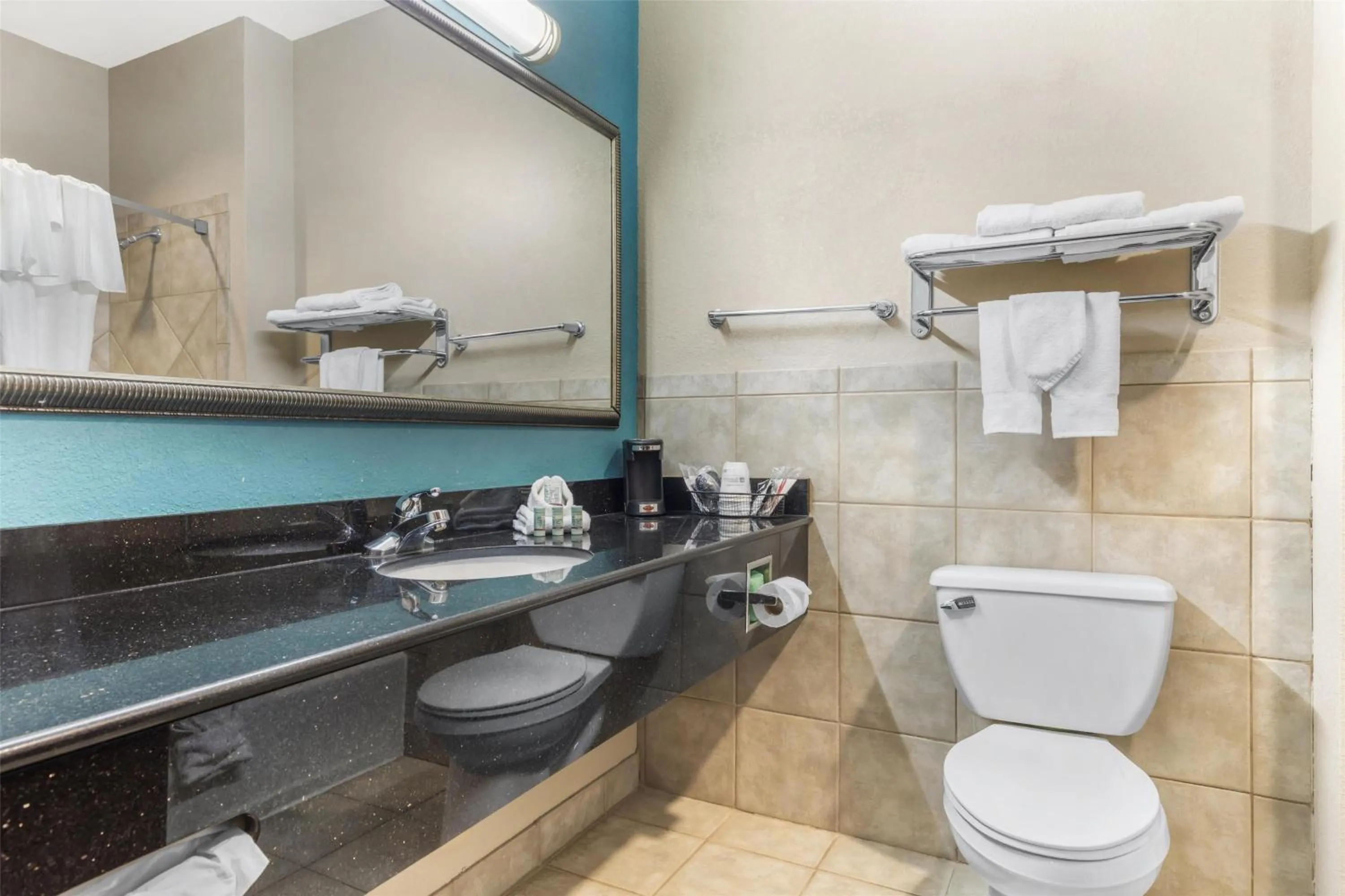 Bathroom in Best Western Mineola Inn