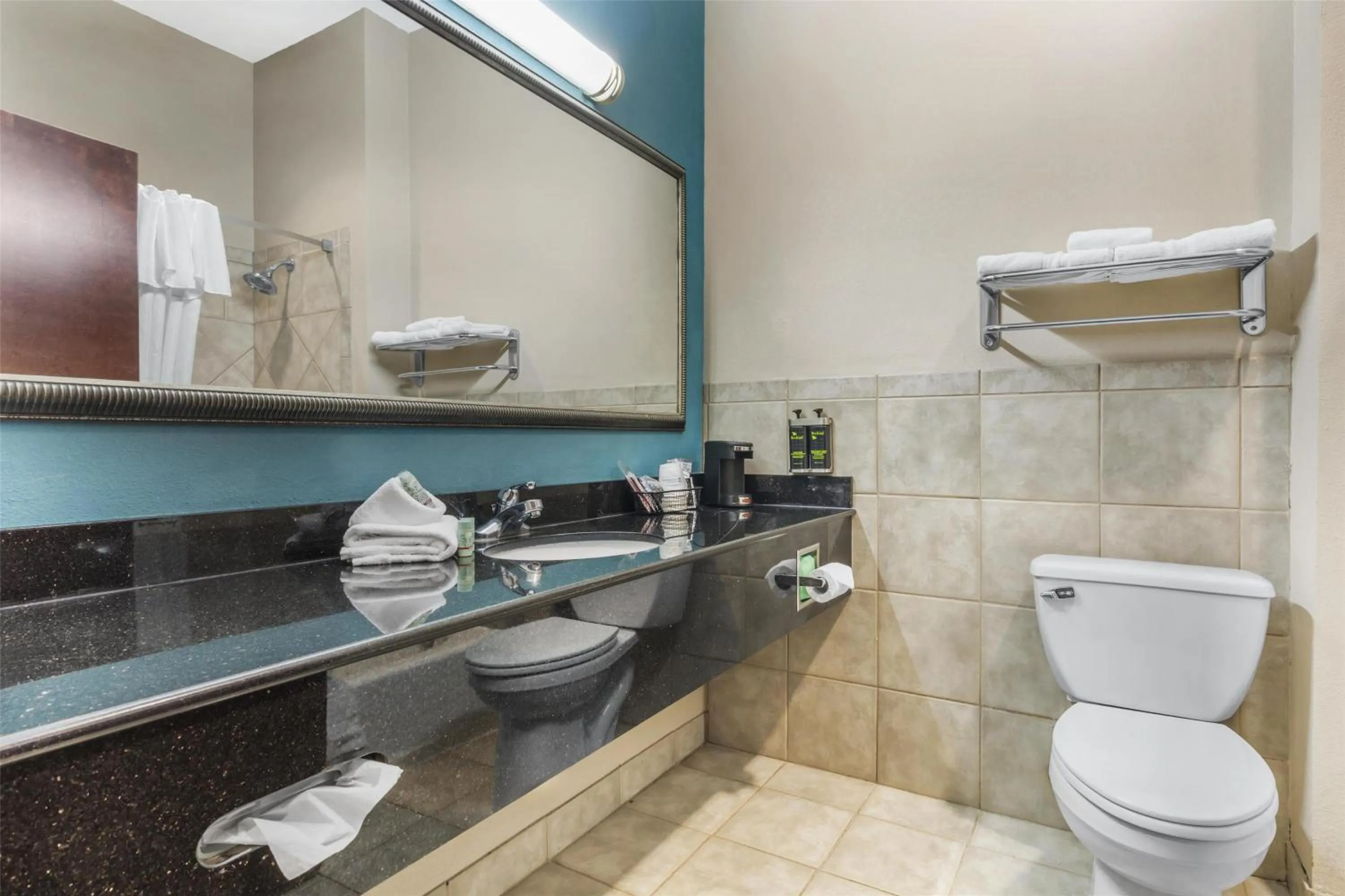 Bathroom in Best Western Mineola Inn