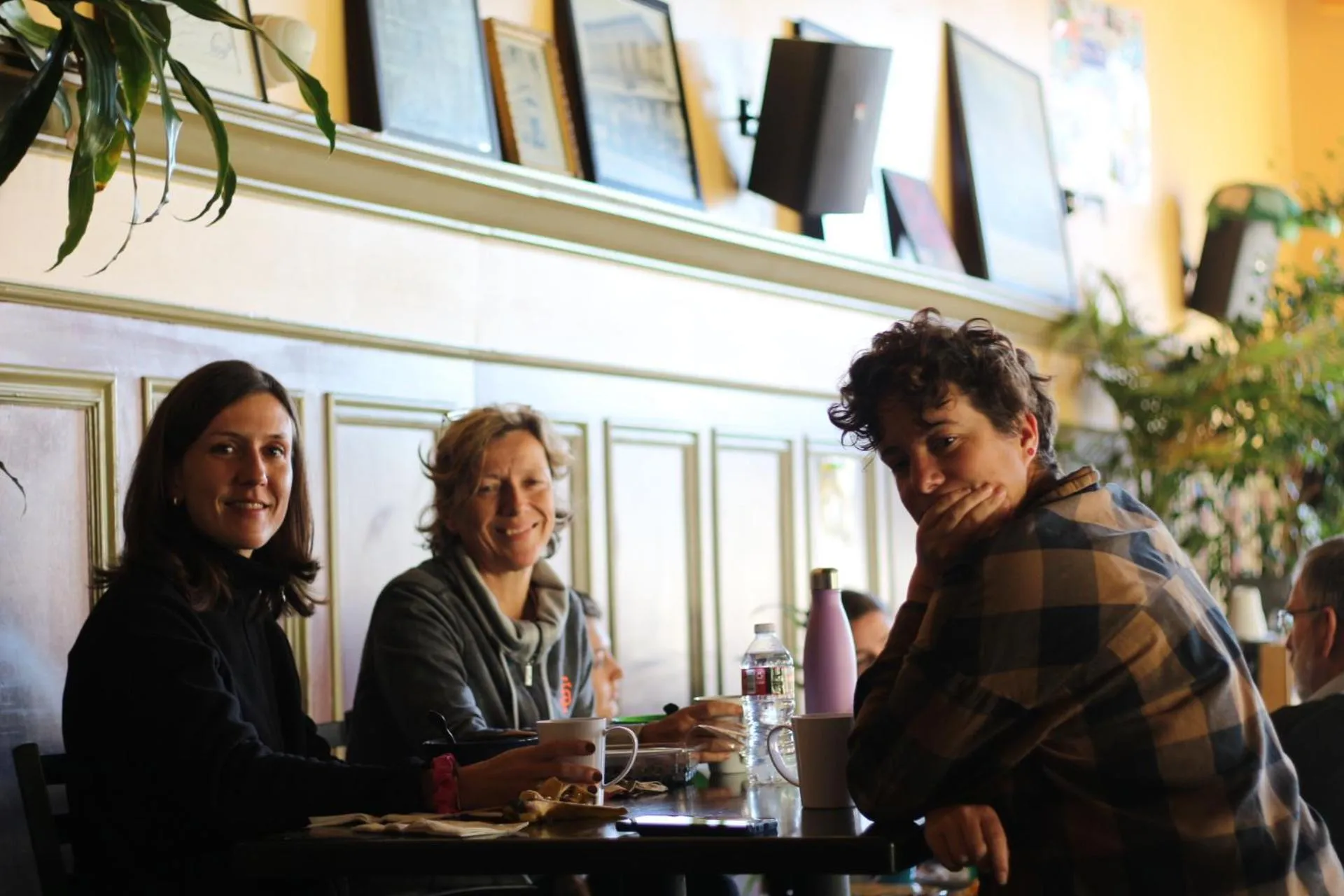 Food and drinks in Green Tortoise Hostel