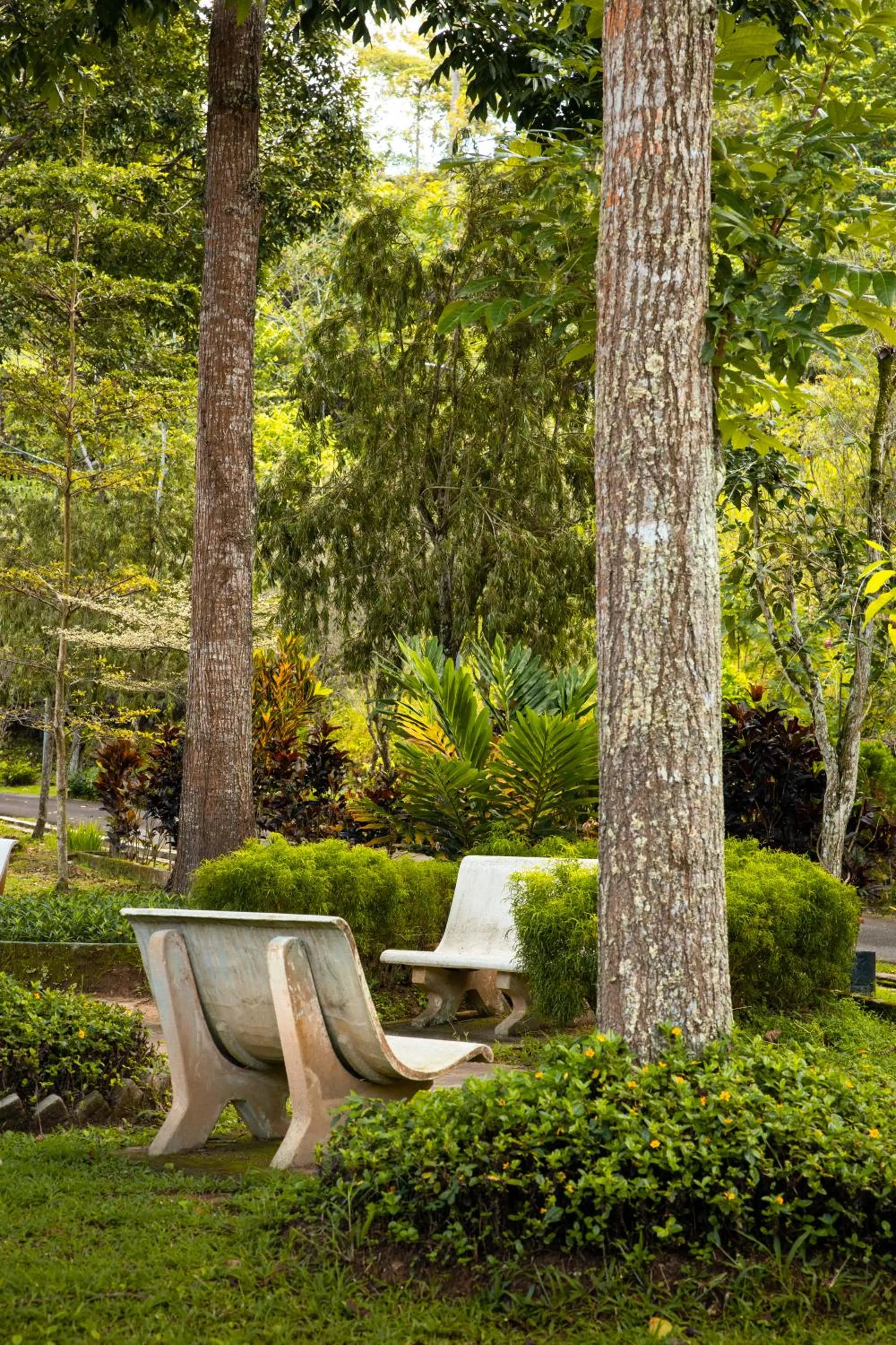 Natural landscape in Genting View Resort