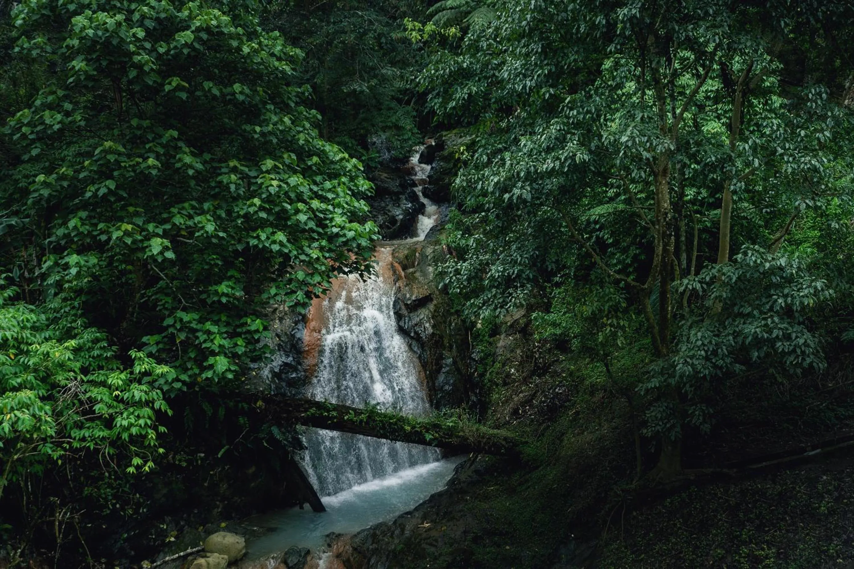 Natural landscape in Genting View Resort