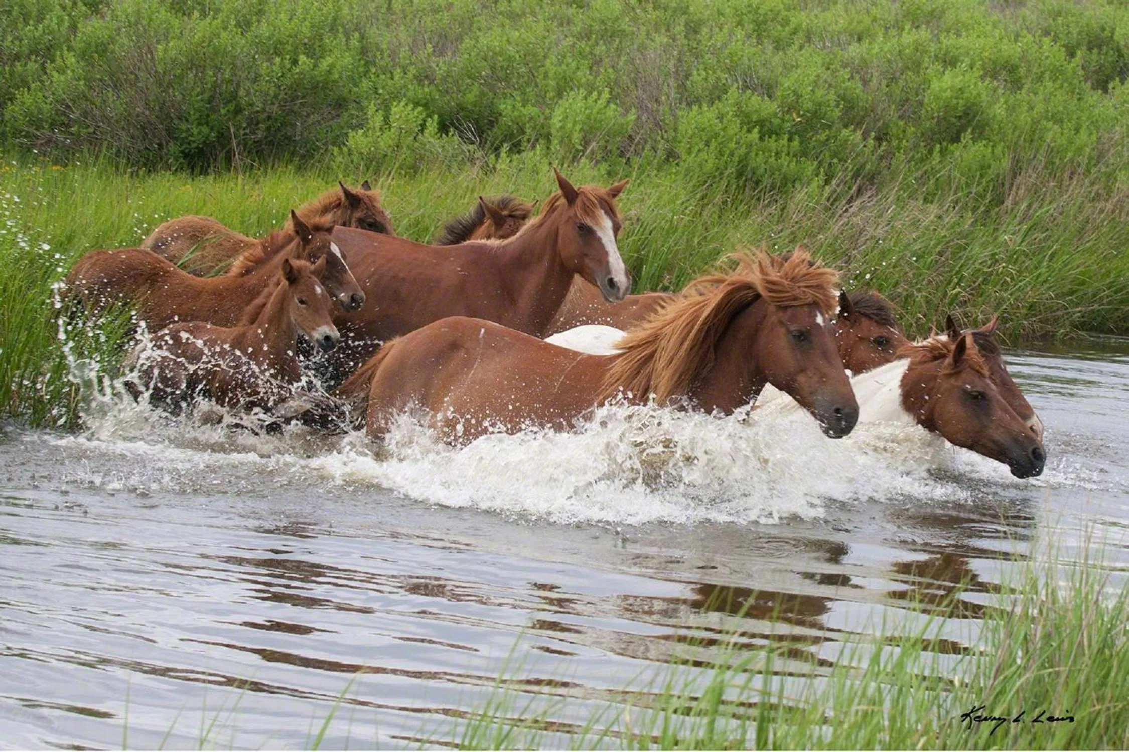 Property building in Hampton Inn & Suites Chincoteague-Waterfront, Va