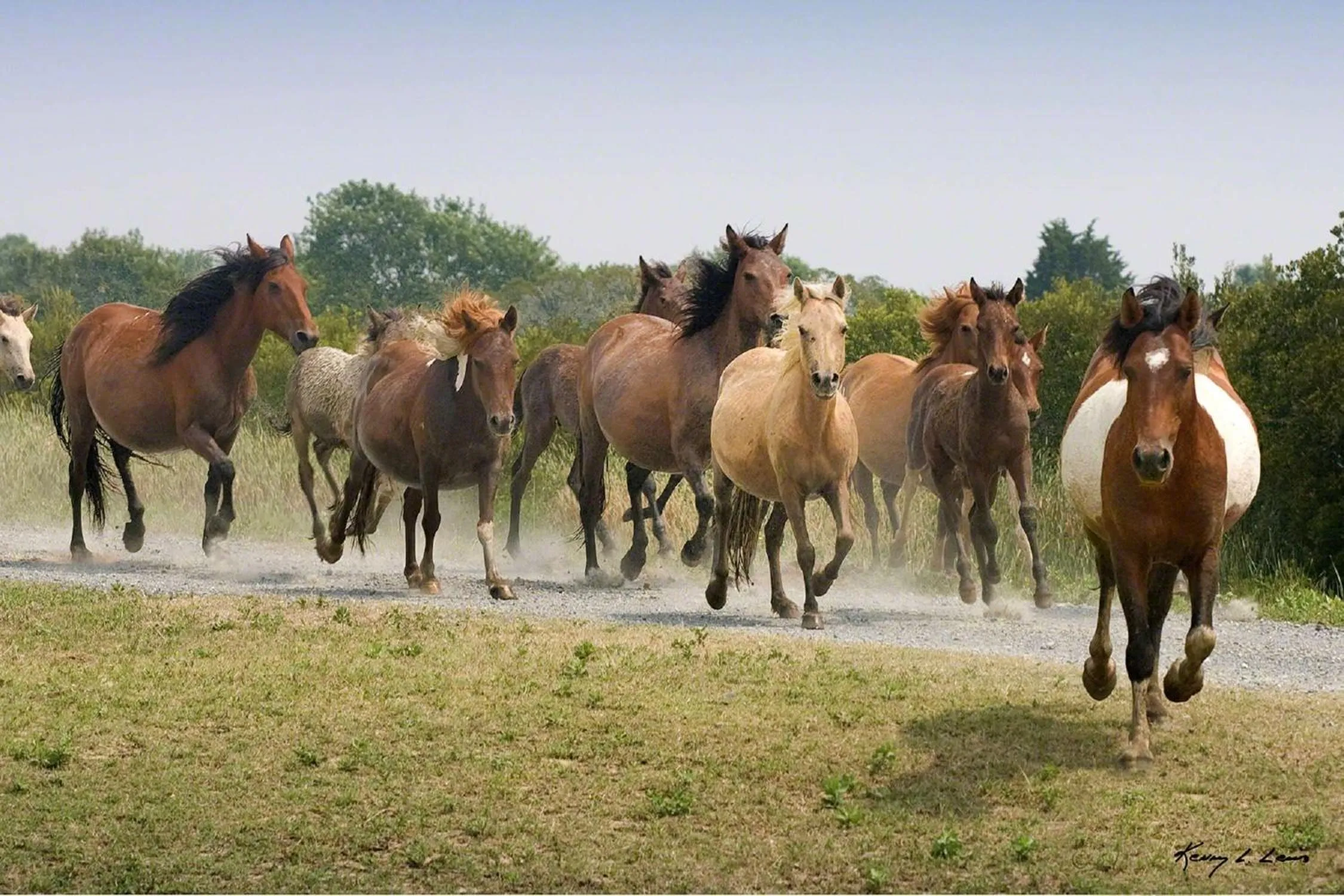 Property building in Hampton Inn & Suites Chincoteague-Waterfront, Va