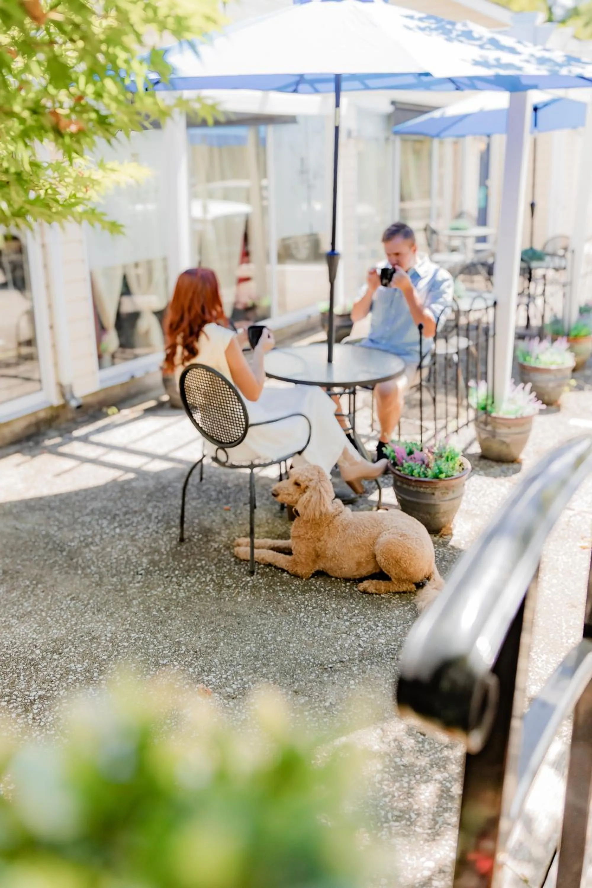 Patio in Montgomery Inn BnB