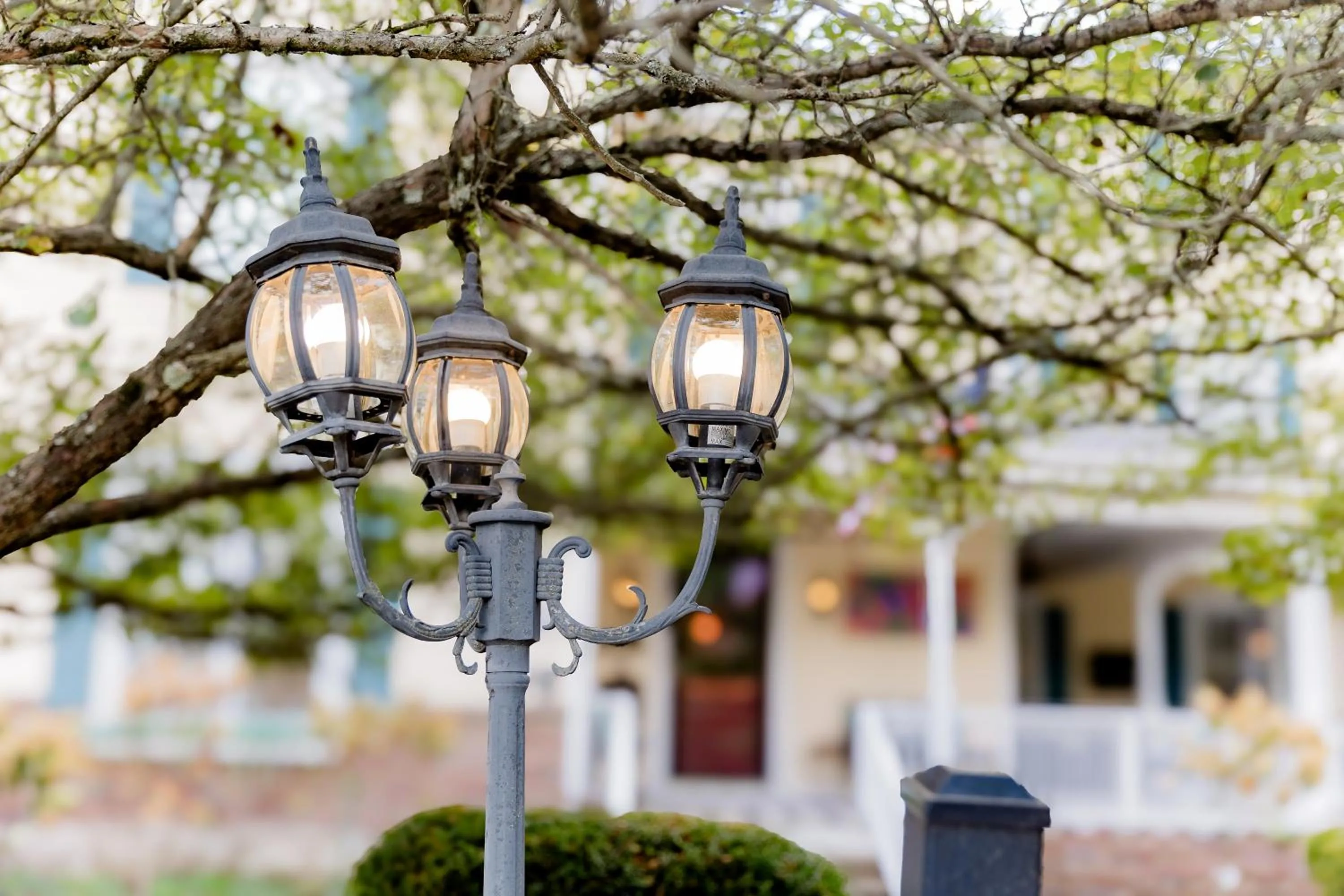 Spring in Montgomery Inn BnB