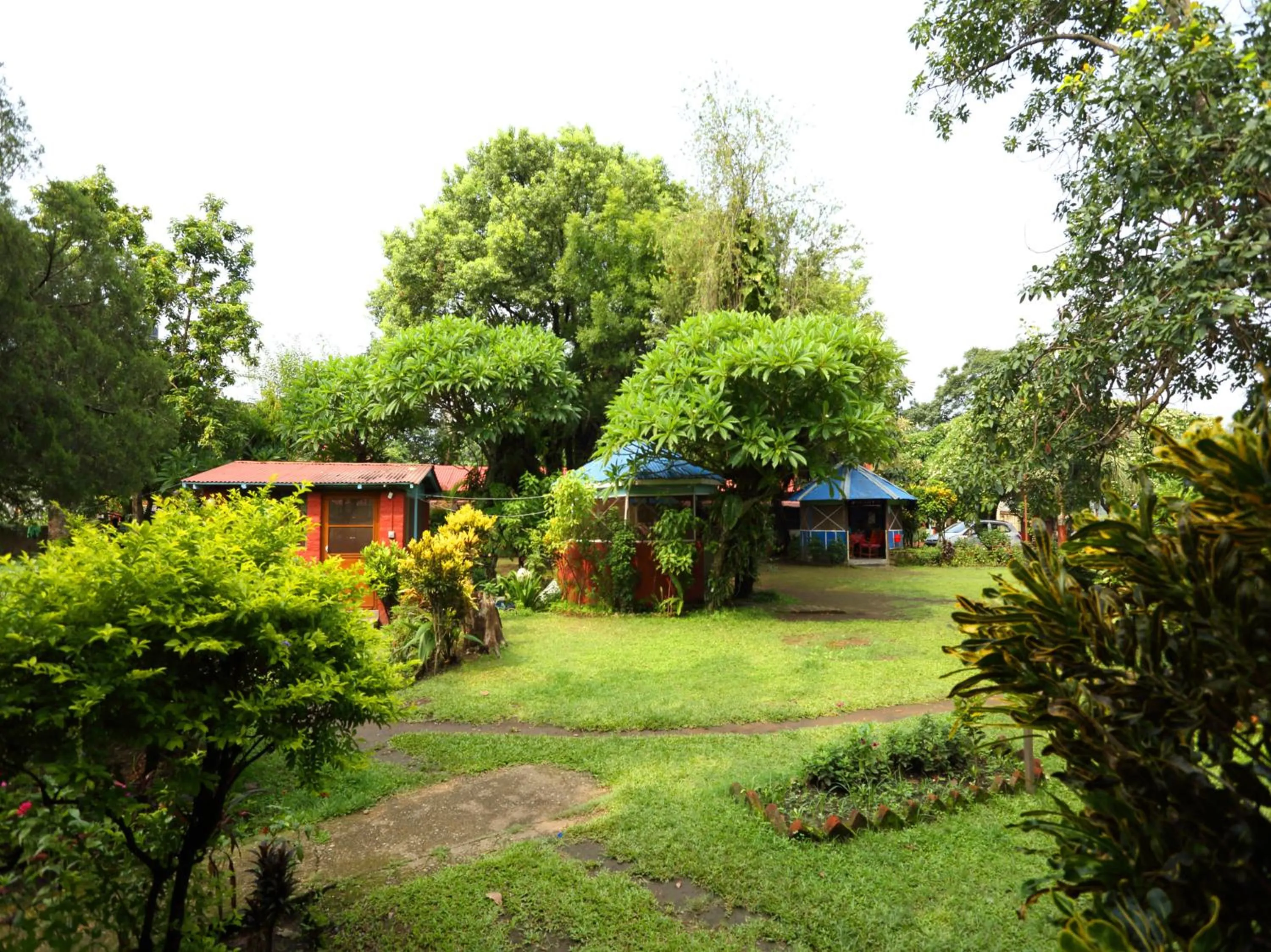 Garden in Avocado Orchid Resort