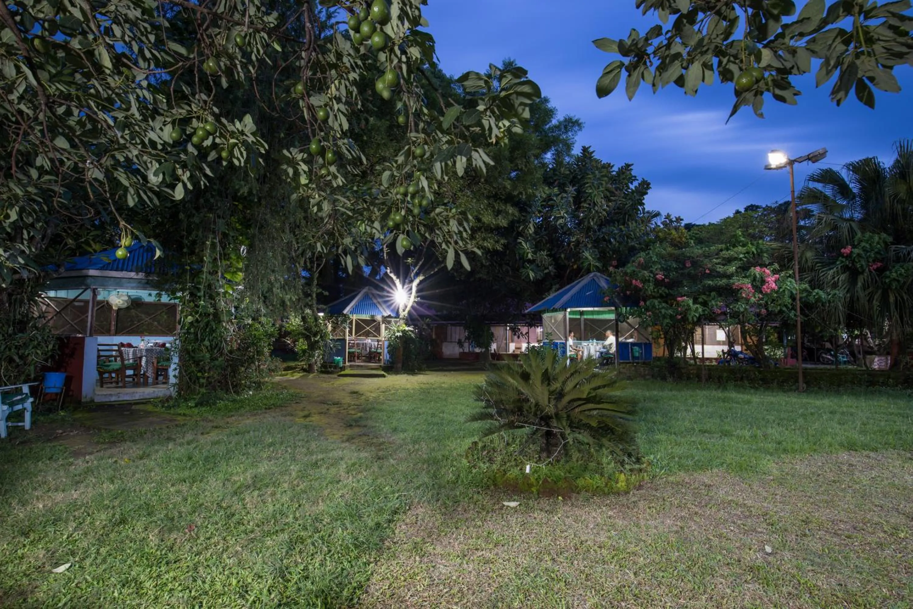 Garden in Avocado Orchid Resort