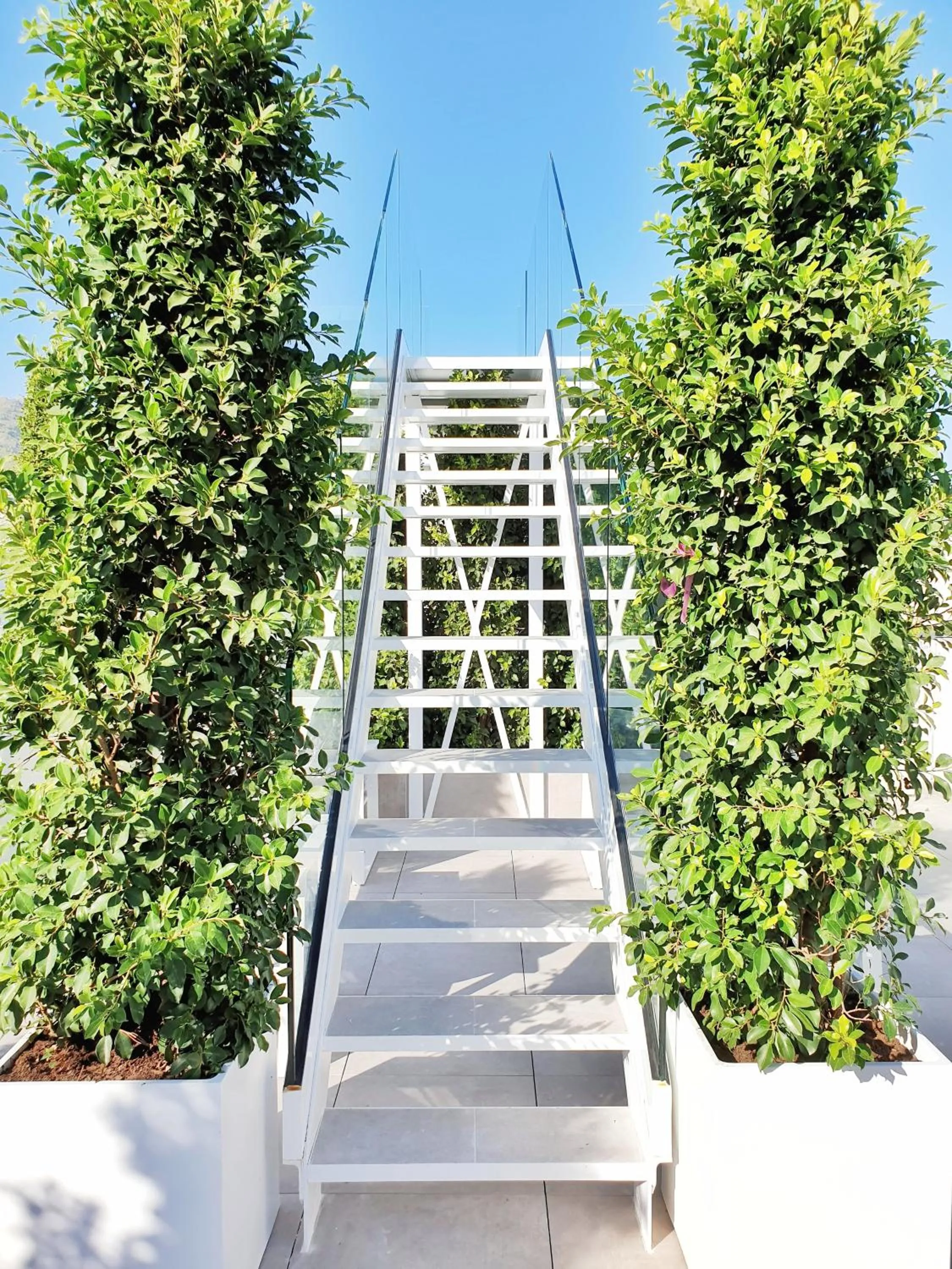 Balcony/Terrace in MB Hostels Premium ECO - Adults Recommended