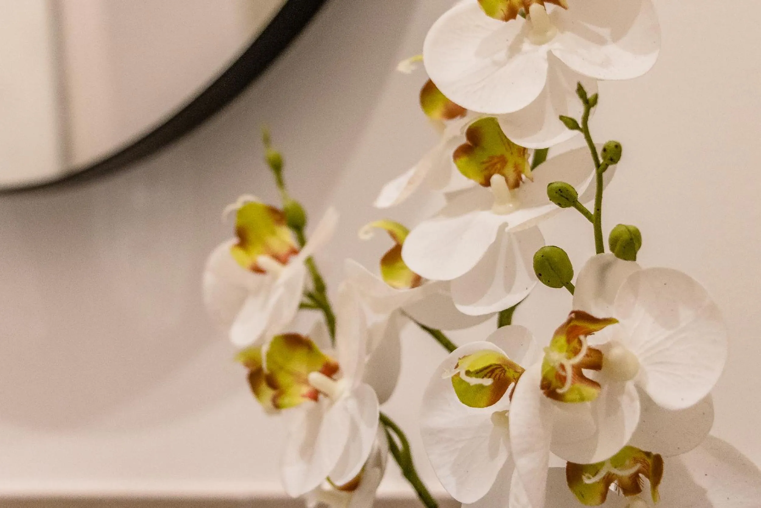 Pregiata camera con bagno privato - Blu di Prussia