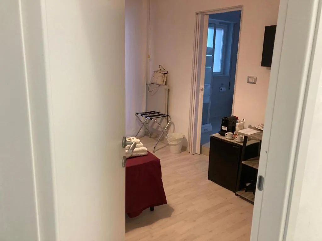 Gatto Bianco Picone 19