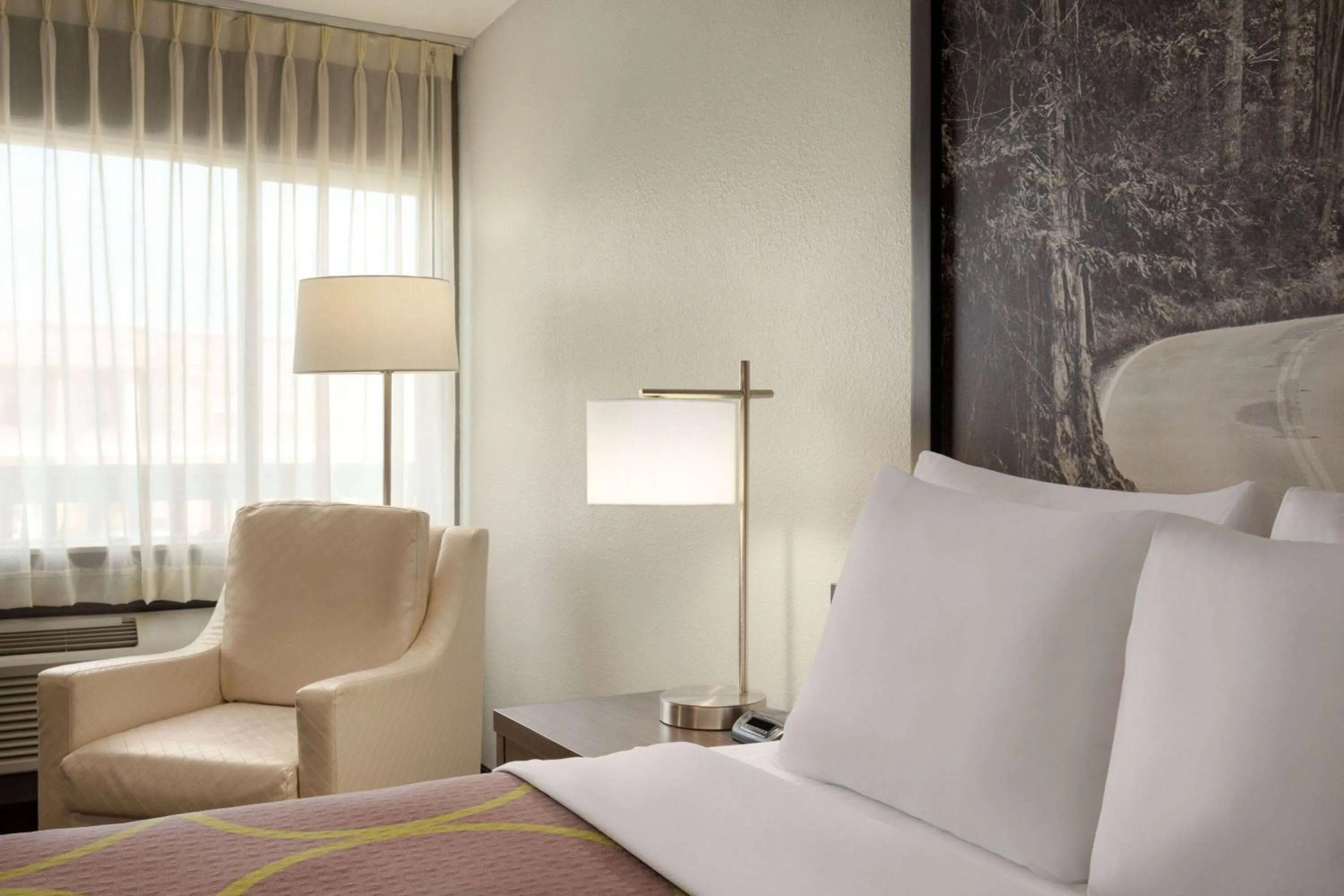 Photo of the whole room, Bed in Super 8 by Wyndham Eureka