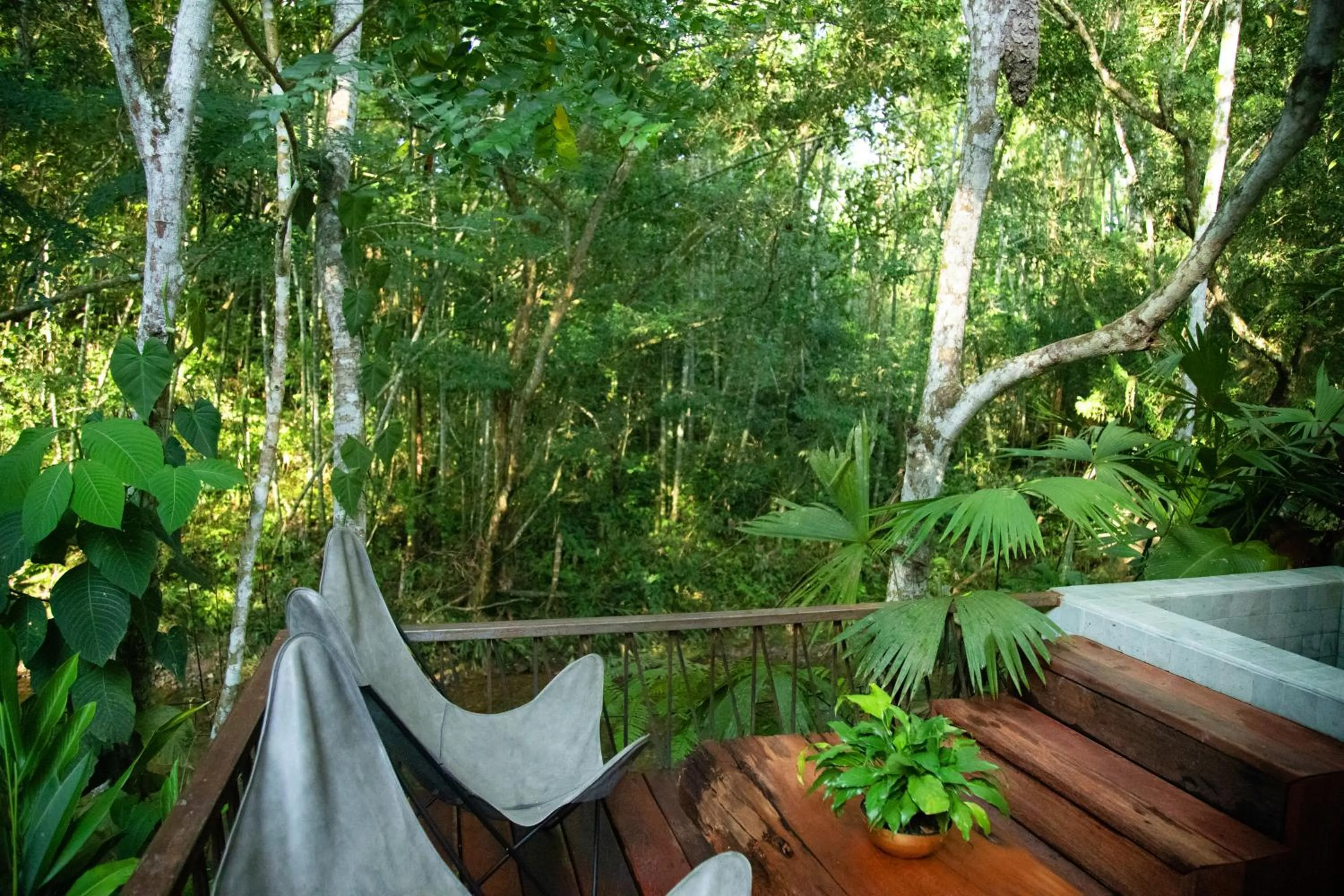 Garden view in El Rio Hotel