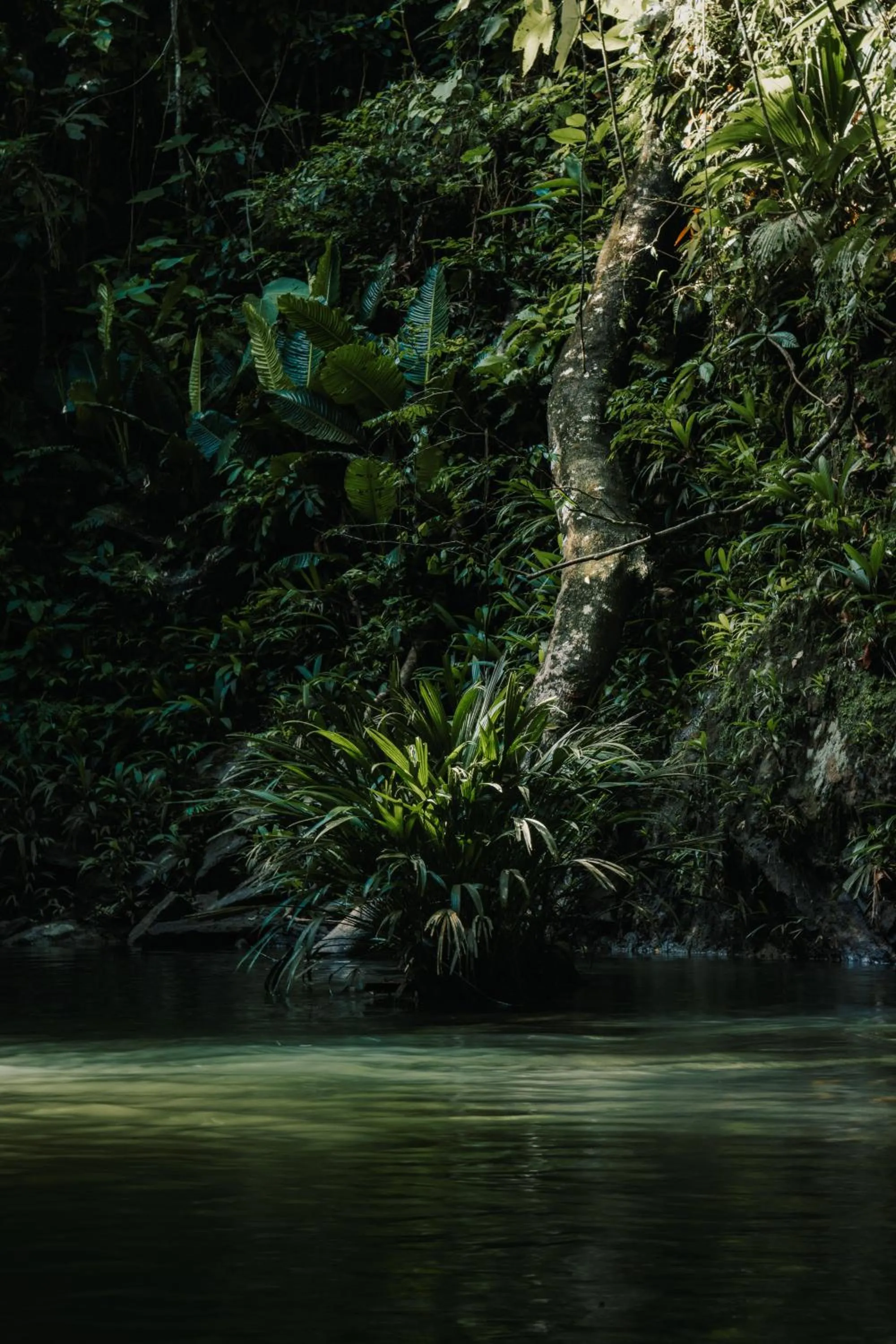 Natural landscape in El Rio Hotel