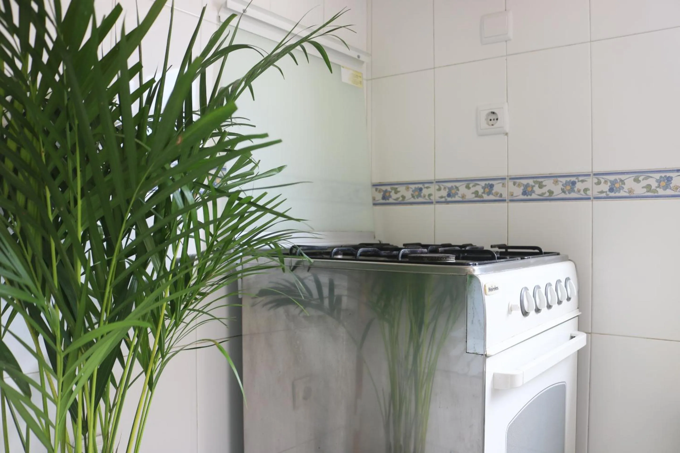 Kitchen or kitchenette in Green Element Guesthouse