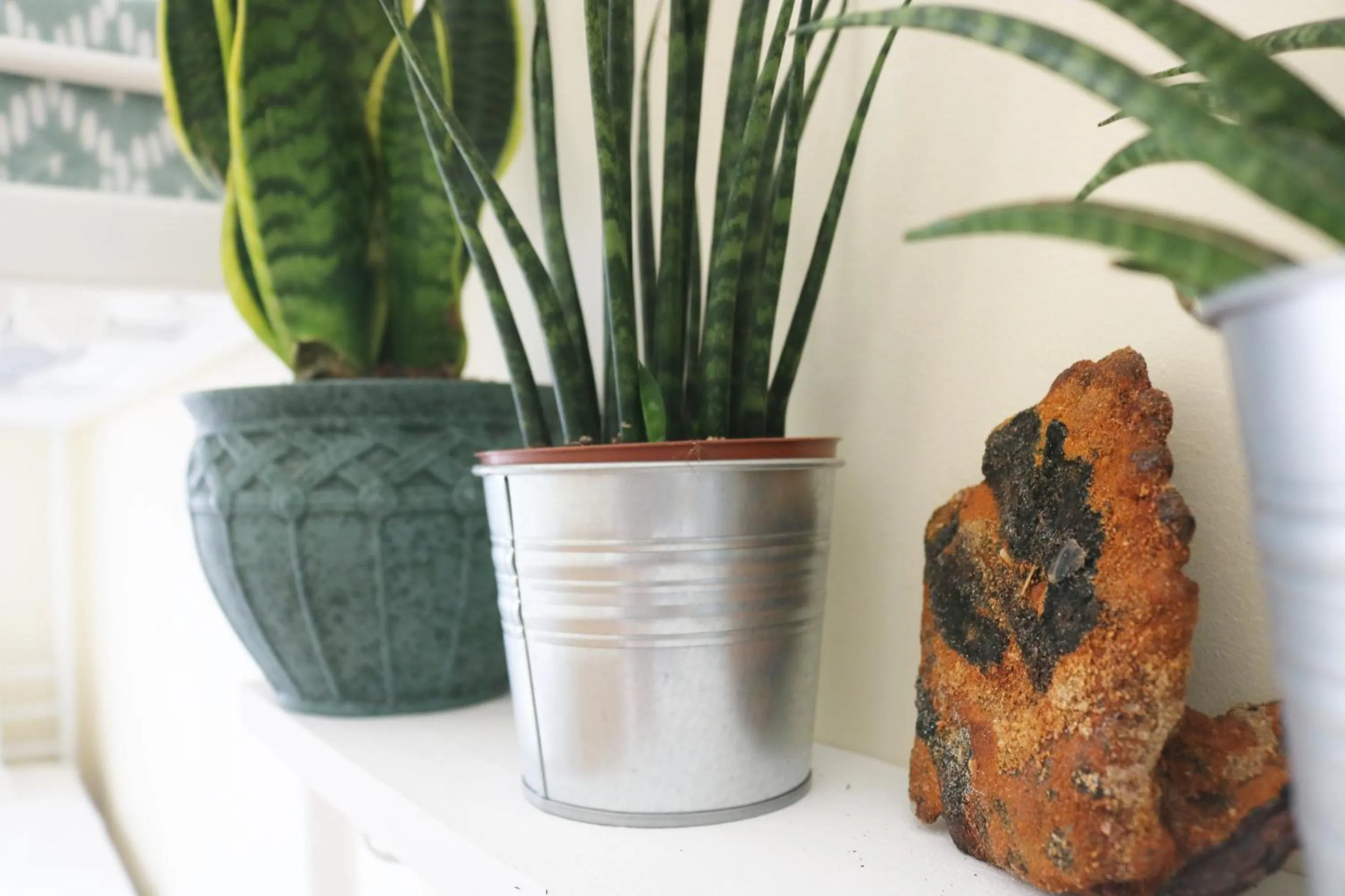 Decorative detail in Green Element Guesthouse