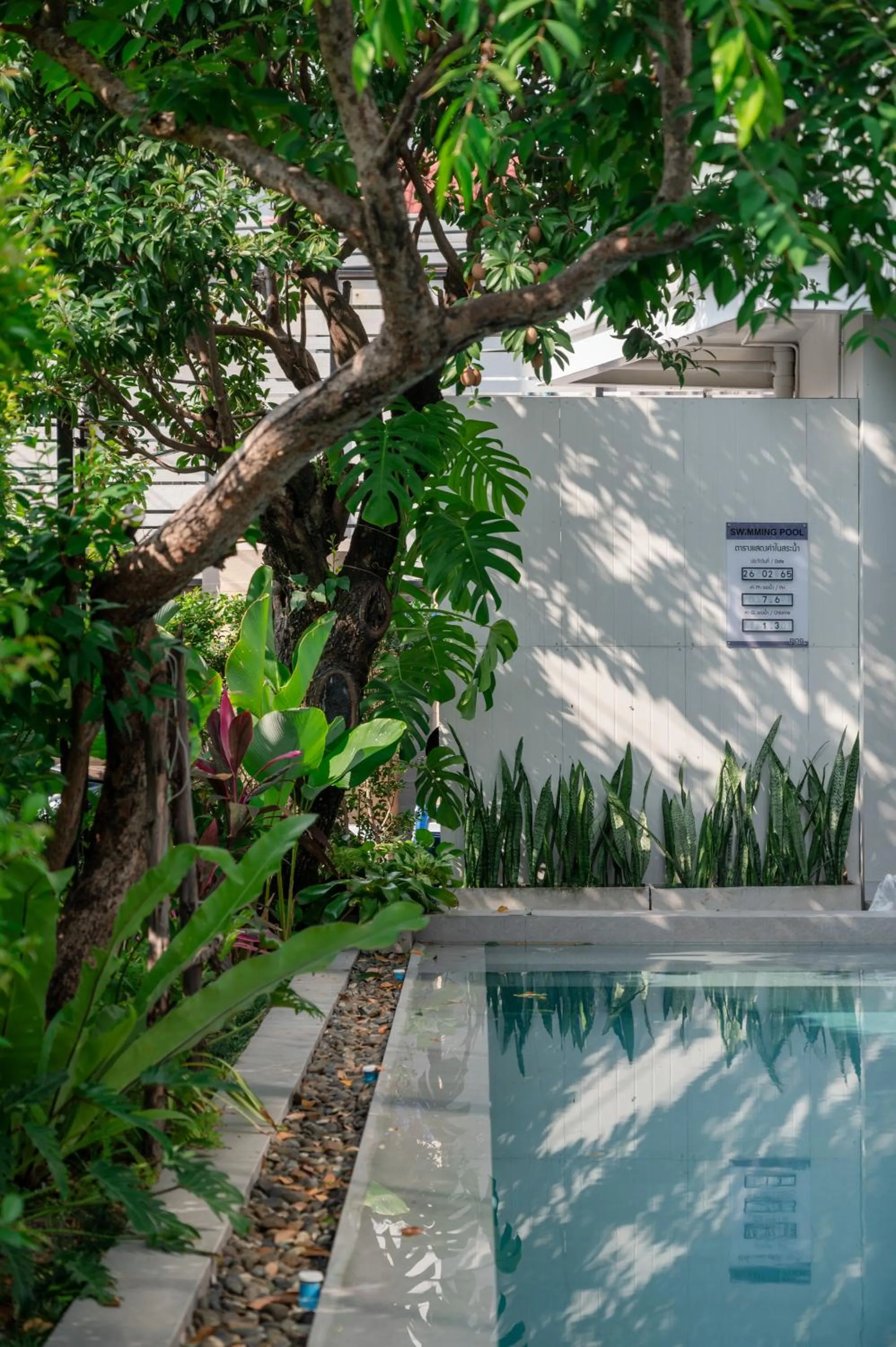 Property building in POR Thapae Gate