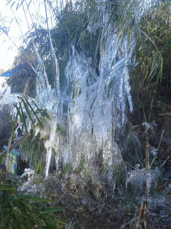 View (from property/room) in Vamoose Kunga Delek