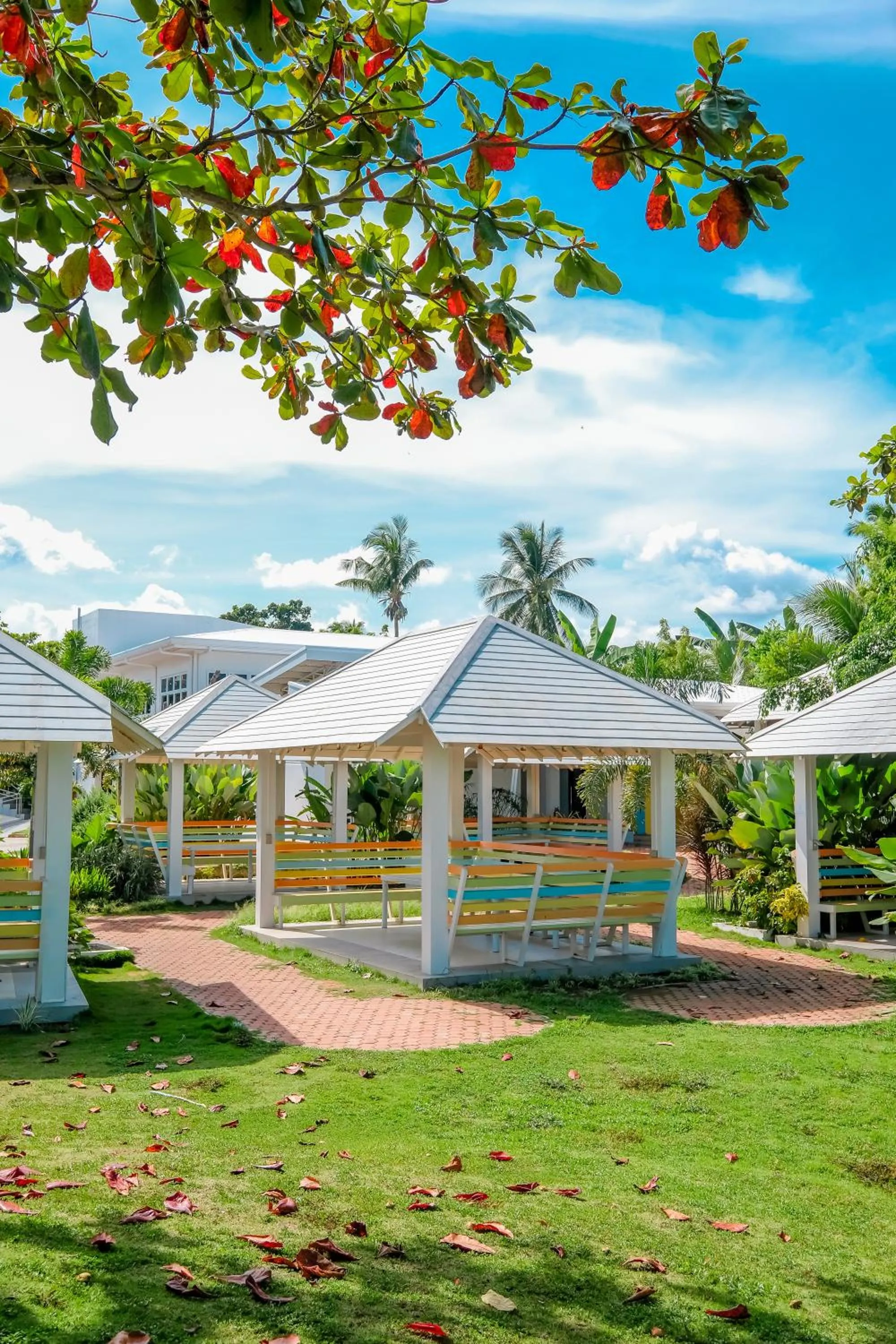 Day in Maayo San Remigio