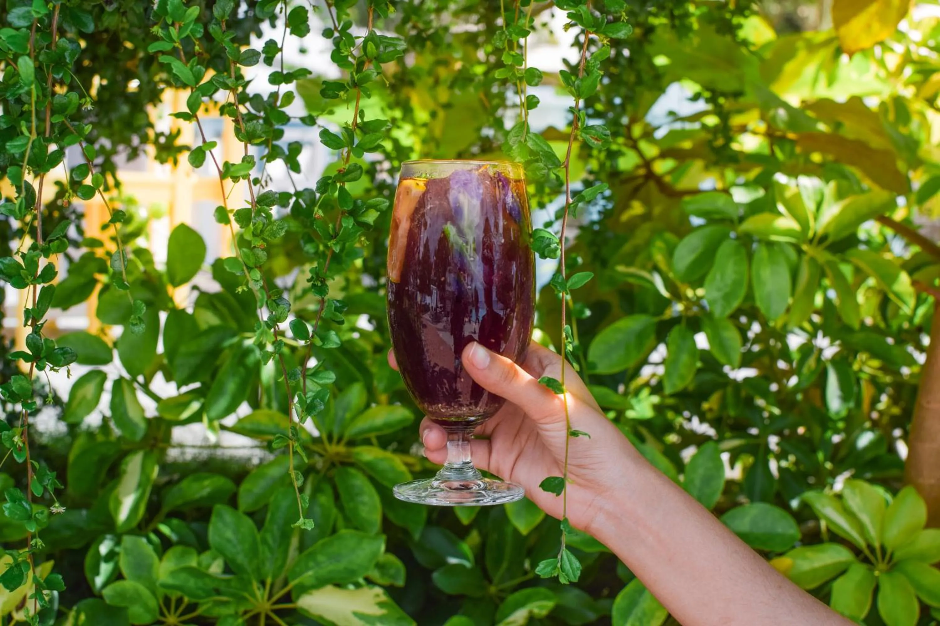 Drinks in Maayo San Remigio