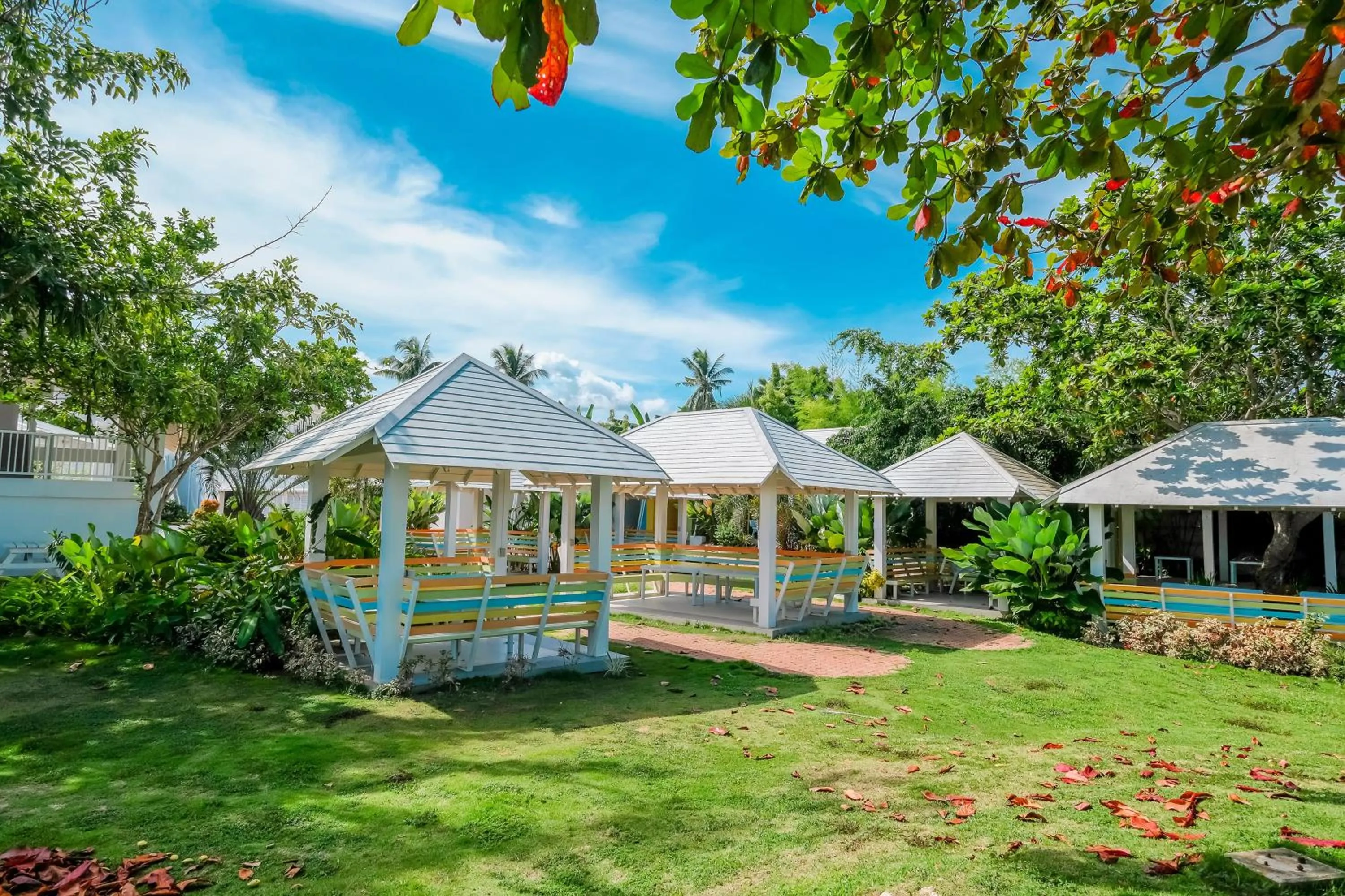 Garden in Maayo San Remigio