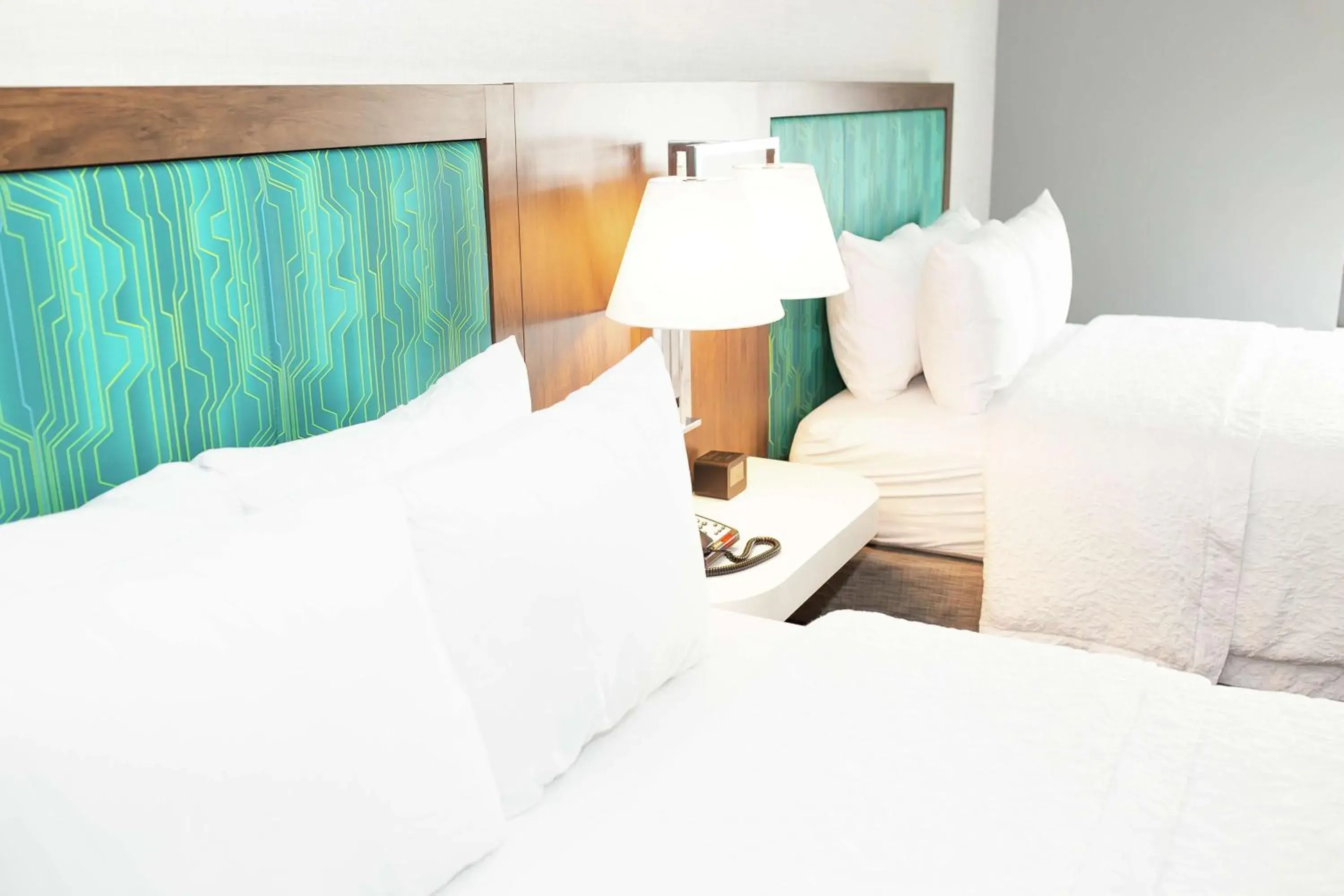 Queen Room with Two Queen Beds in Hampton Inn and Suites Dundee Queen Room with Two Queen Beds in Hampton Inn and Suites Dundee