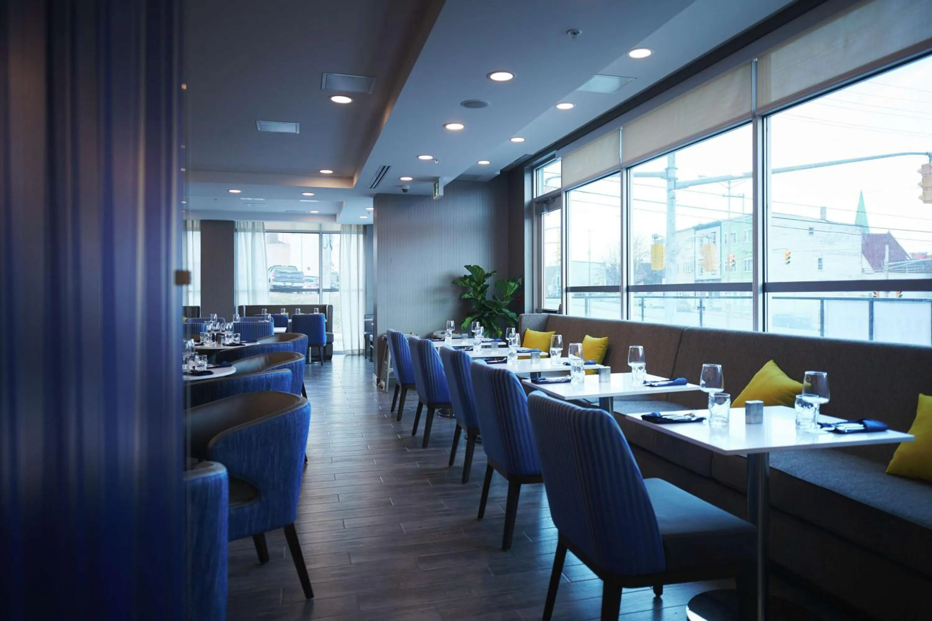 Lounge or bar in Hilton Garden Inn St. John's Newfoundland, Canada