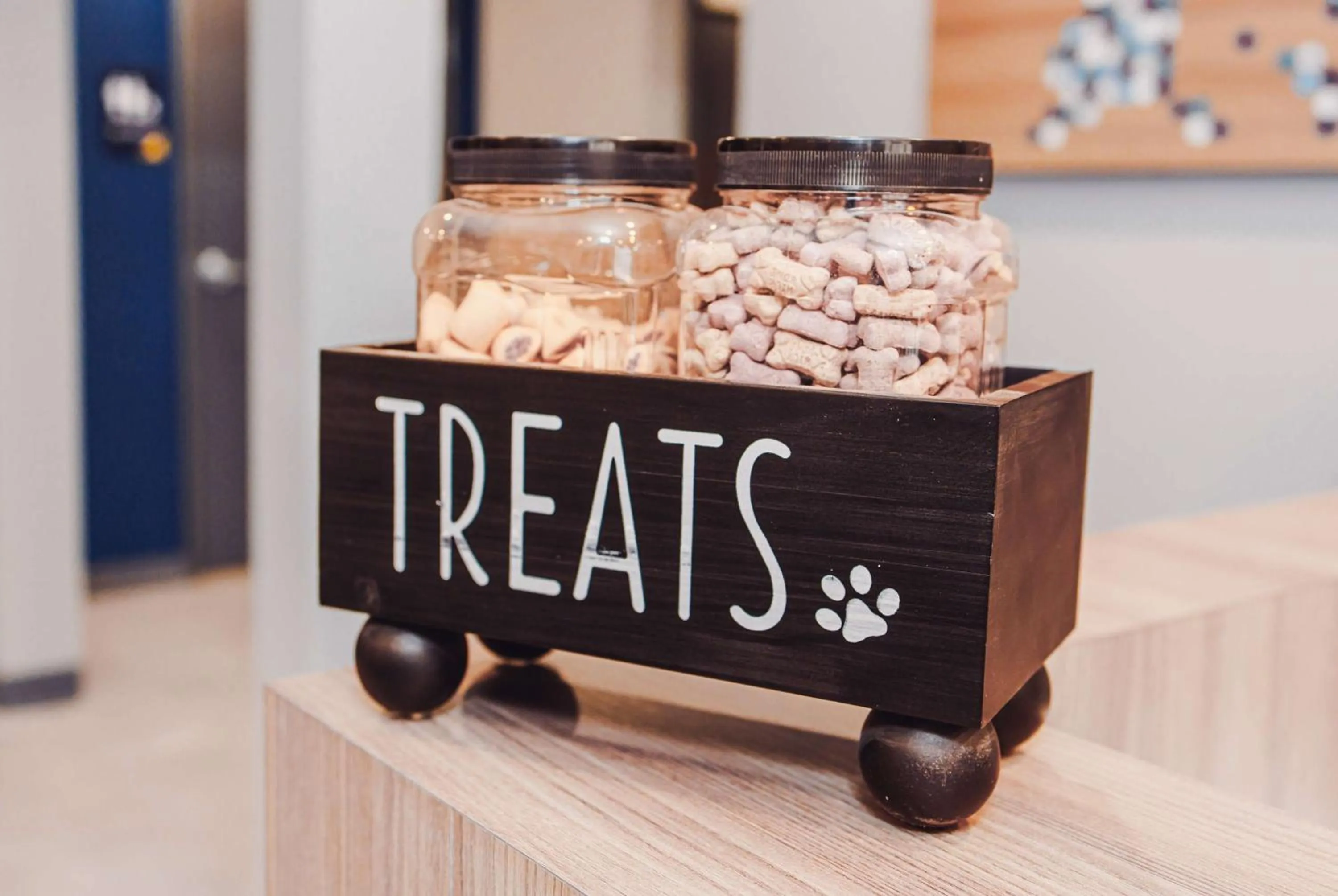 Pets in Microtel Inn & Suites by Wyndham Olean