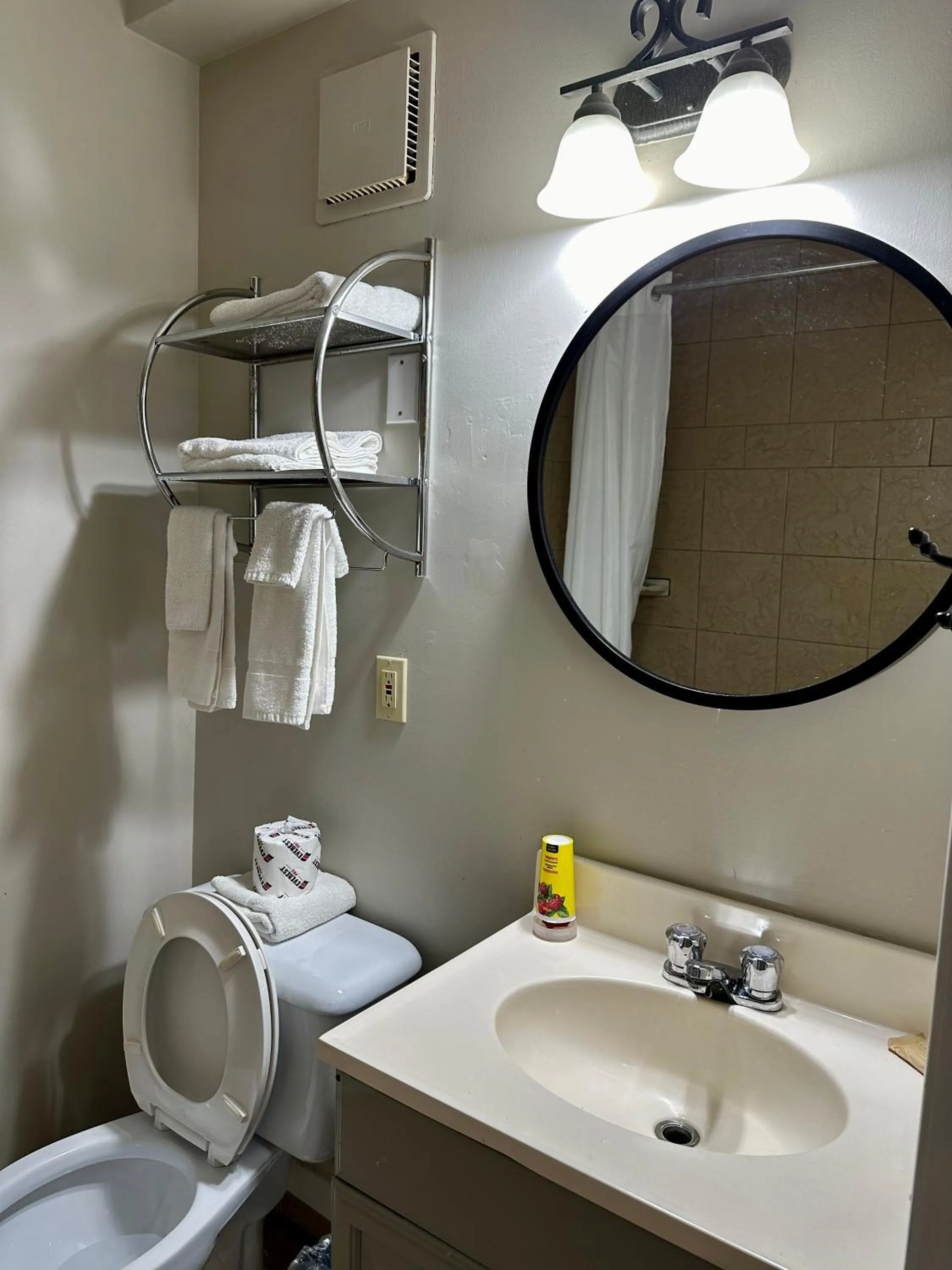 Bathroom in Lakeview Motel & Cottage