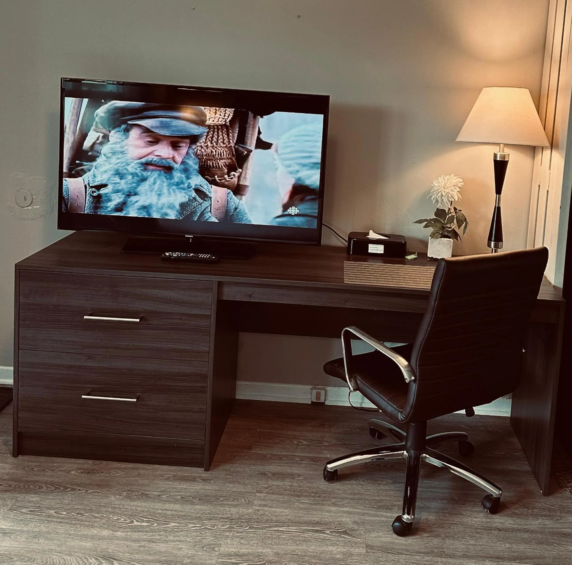 TV and multimedia in Lakeview Motel & Cottage